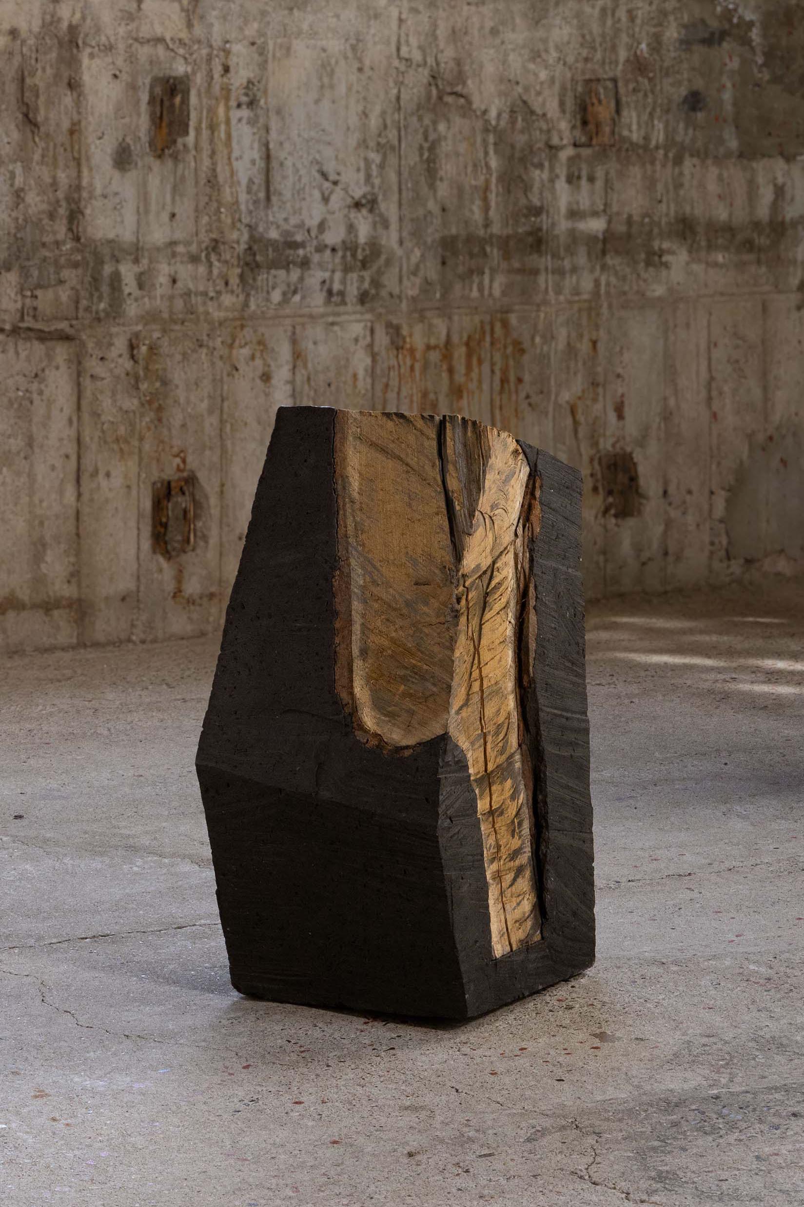 Postmoderno Futuro fossilizzato_C di So Koizumi in vendita