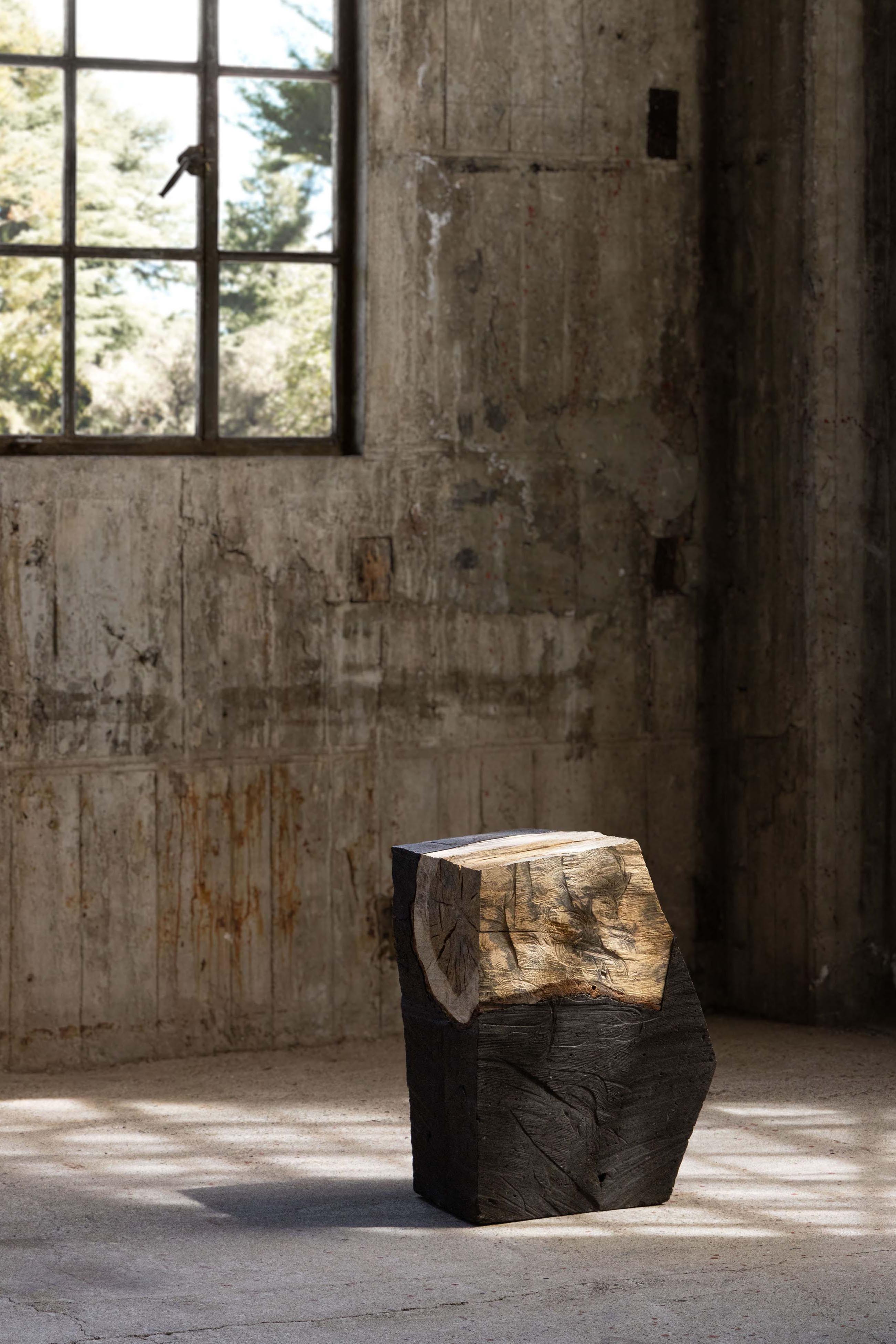 Futuro fossilizzato_C di So Koizumi In condizioni Nuovo in vendita a Geneve, CH