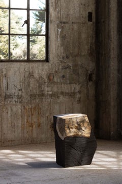 Futuro fossilizzato_D di So Koizumi