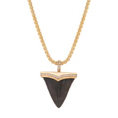 Fossilized Great White Shark Tooth 18kt Yellow Gold Pendant Necklace