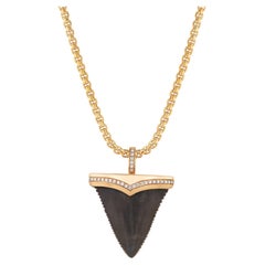 Fossilized Great White Shark Tooth 18kt Yellow Gold Pendant Necklace