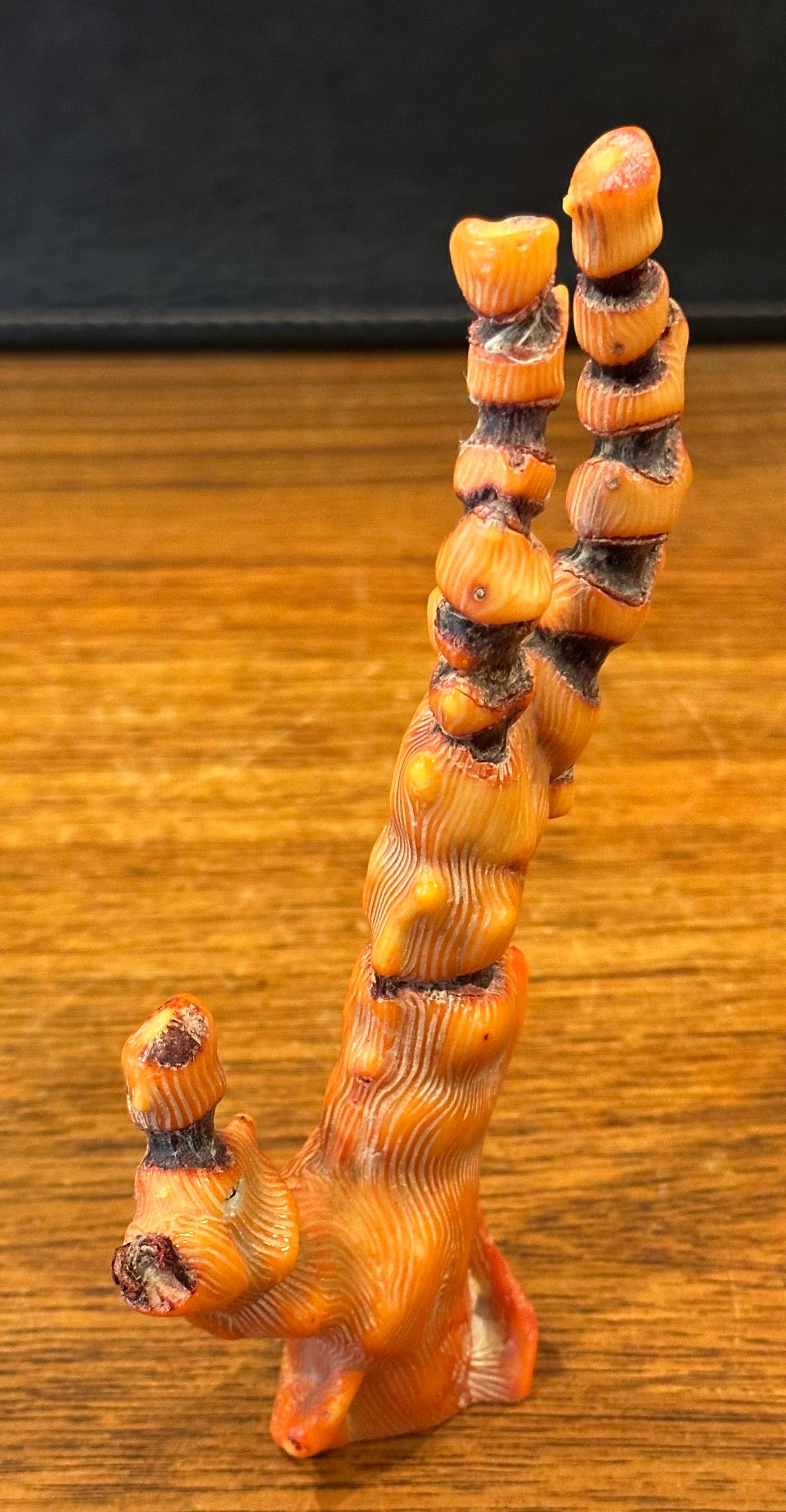 Fossilisiertes organisches natürliches rotes Meereskorallenexemplar / Skulptur im Angebot 4