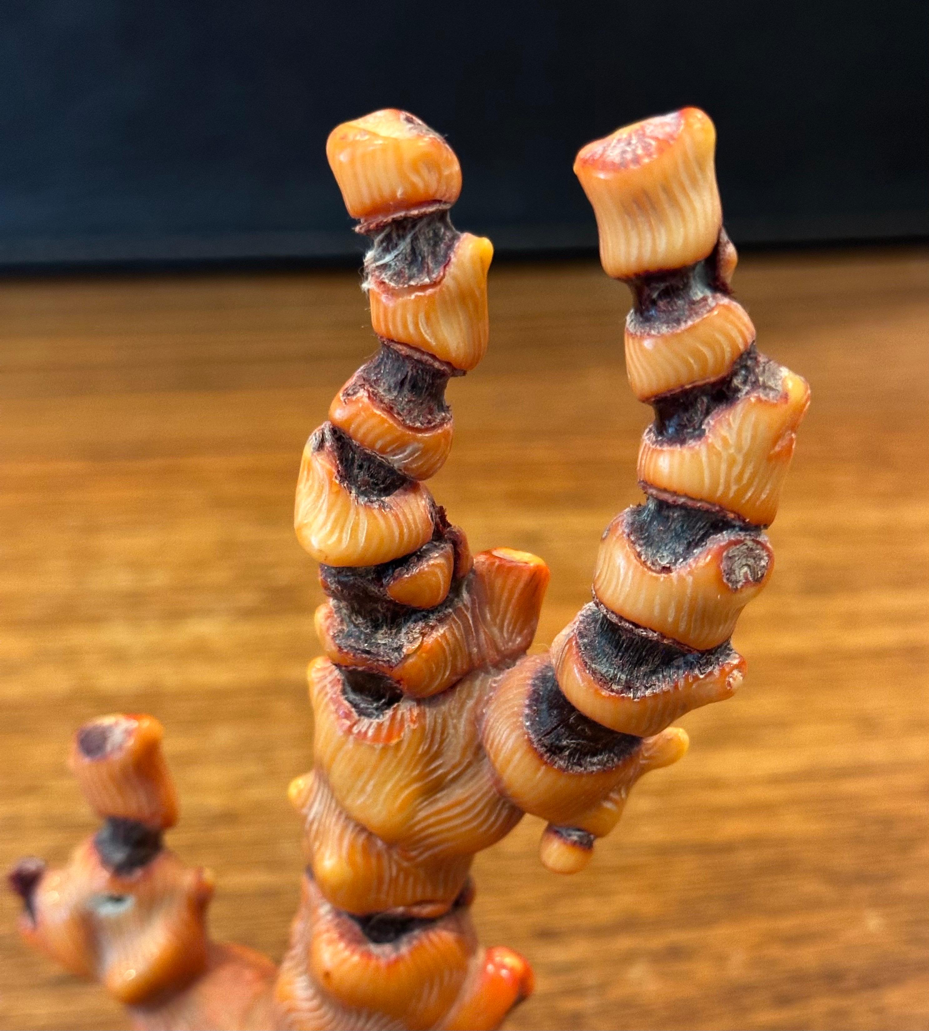 Fossilisiertes organisches natürliches rotes Meereskorallenexemplar / Skulptur im Angebot 7