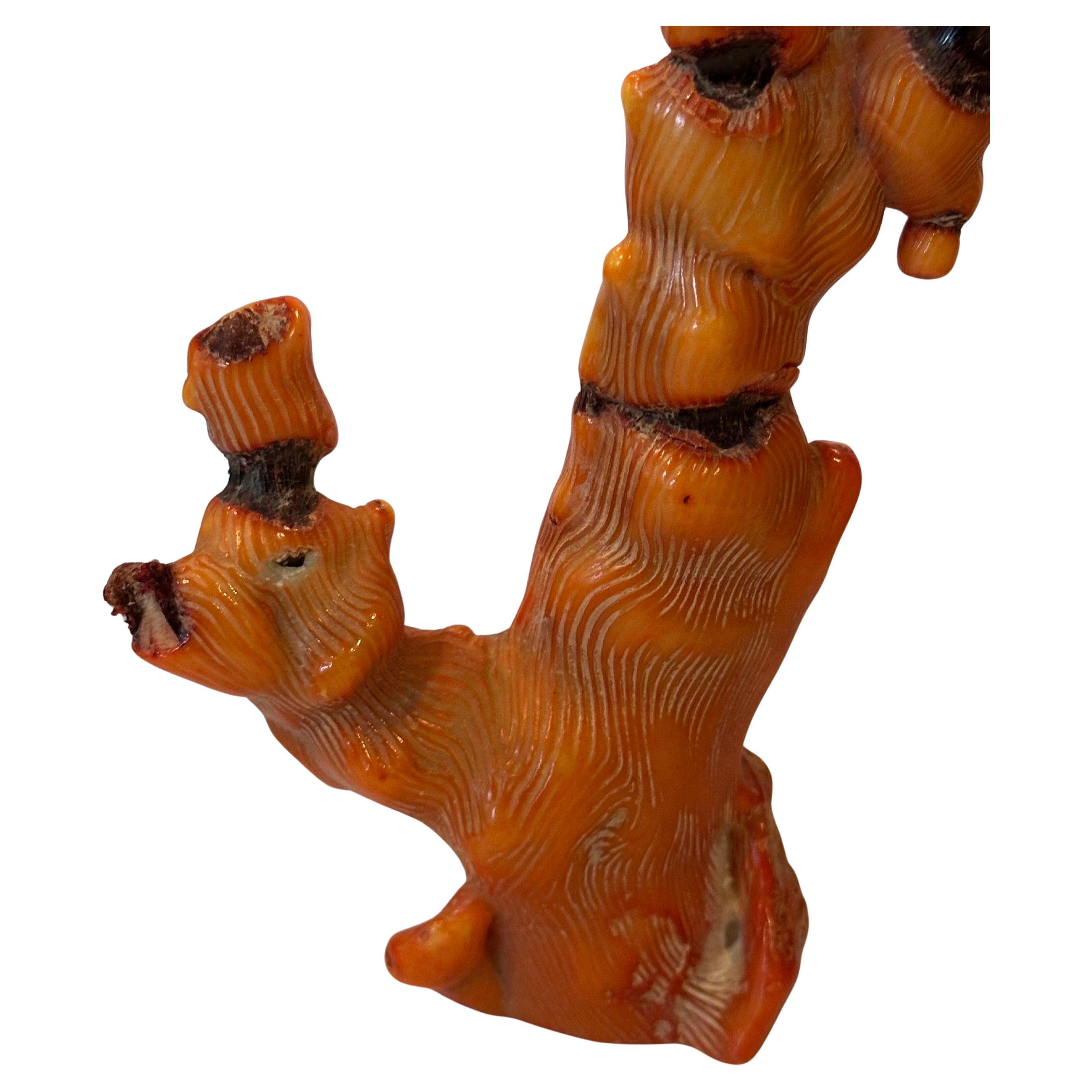 Fossilisiertes organisches natürliches rotes Meereskorallenexemplar / Skulptur (Hollywood Regency) im Angebot