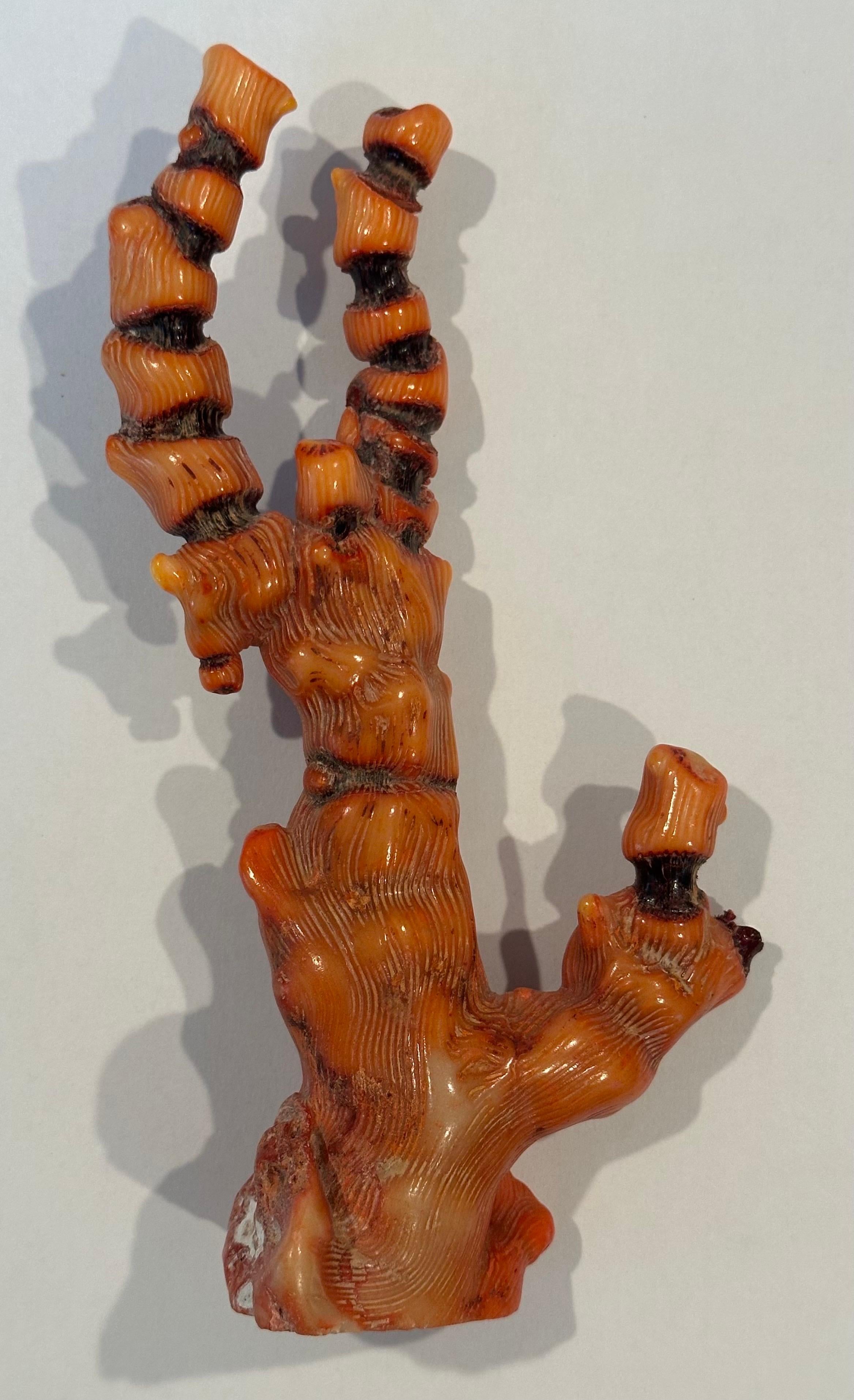 Fossilisiertes organisches natürliches rotes Meereskorallenexemplar / Skulptur (20. Jahrhundert) im Angebot