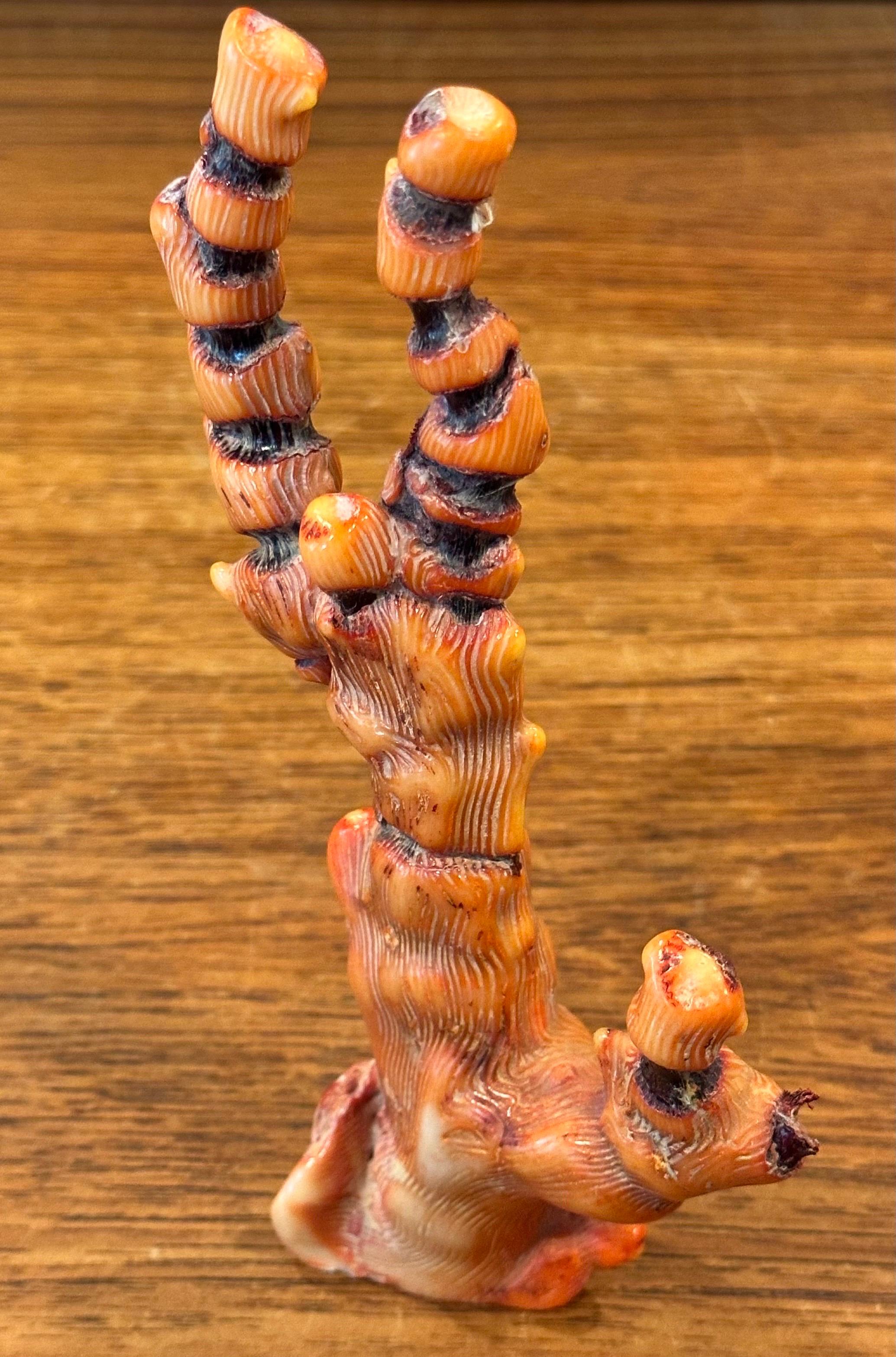 Fossilisiertes organisches natürliches rotes Meereskorallenexemplar / Skulptur im Angebot 1