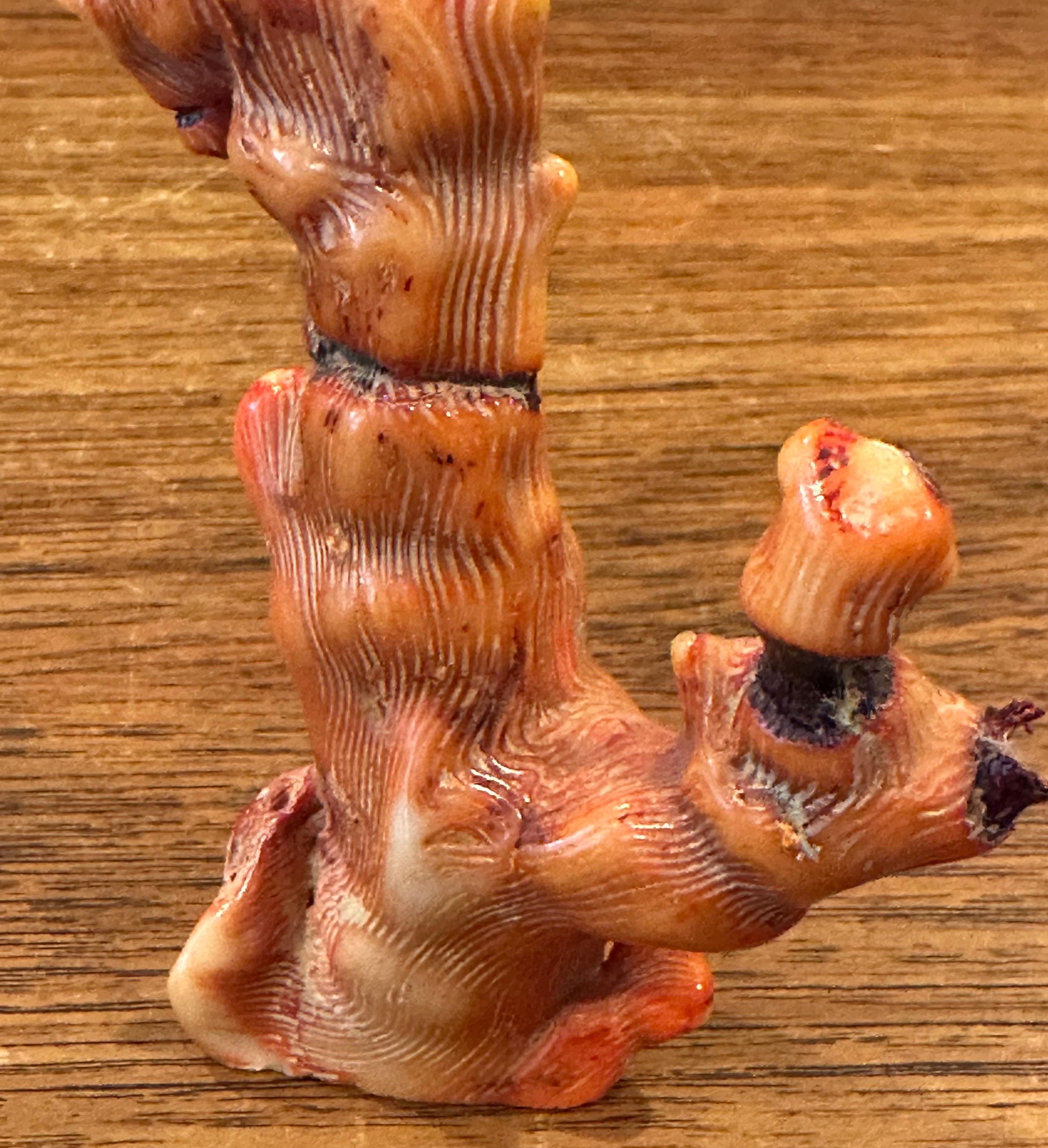 Fossilisiertes organisches natürliches rotes Meereskorallenexemplar / Skulptur im Angebot 2