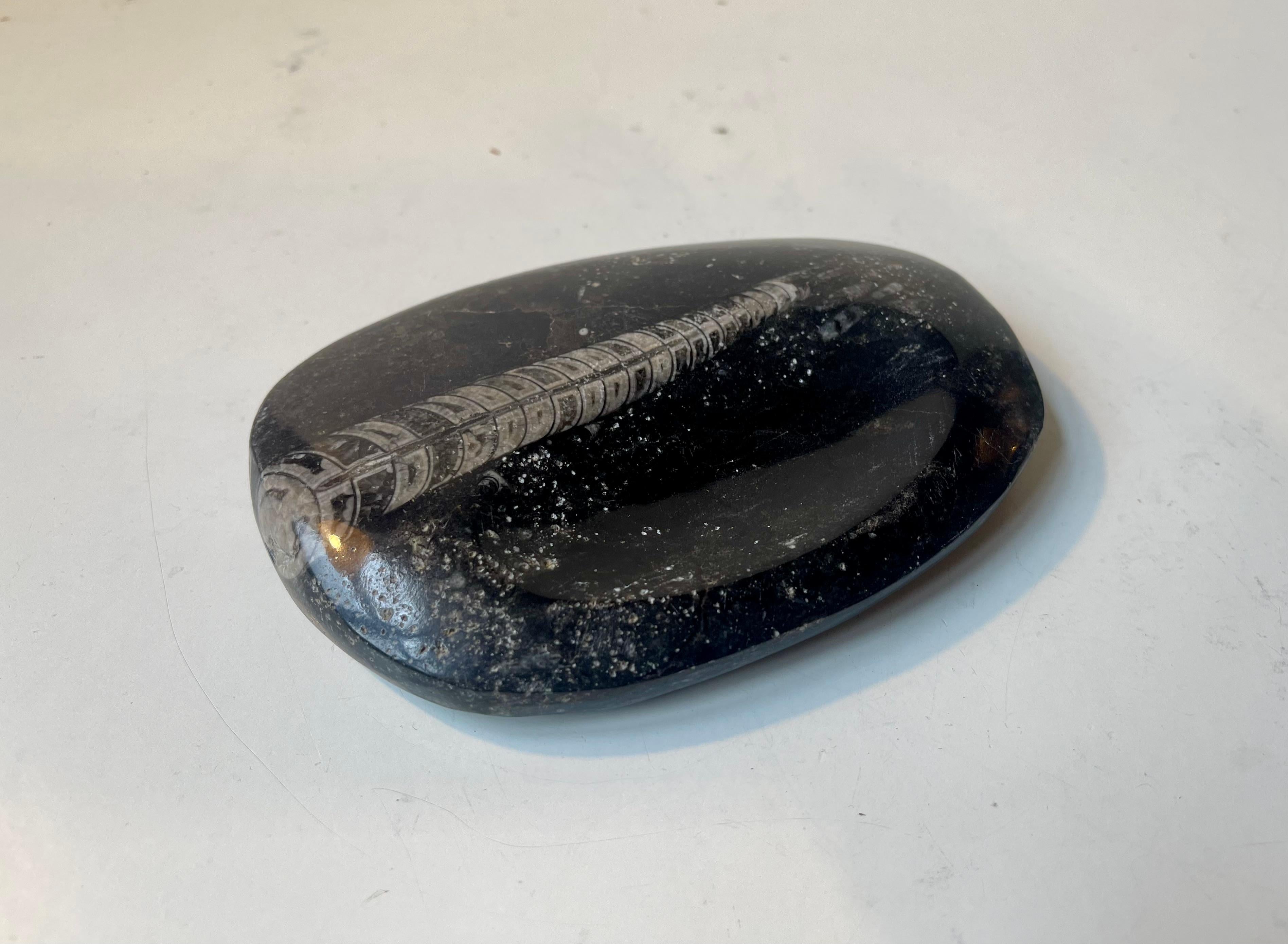 Cendrier ou plat en pierre polie Orthoseras fossilisé Bon état - En vente à Esbjerg, DK