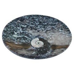 Fossilized Round Black Marble Vide Poche