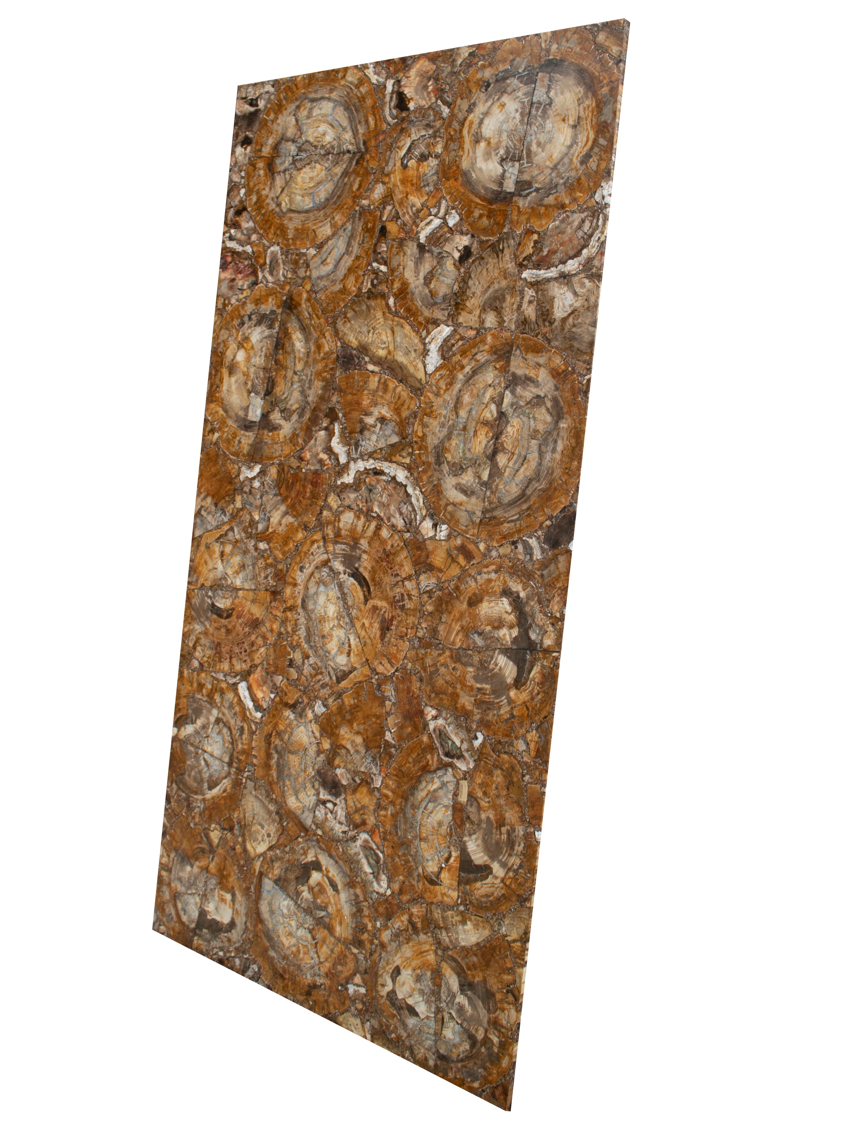 Fossilized tree trunk mosaic tabletop.