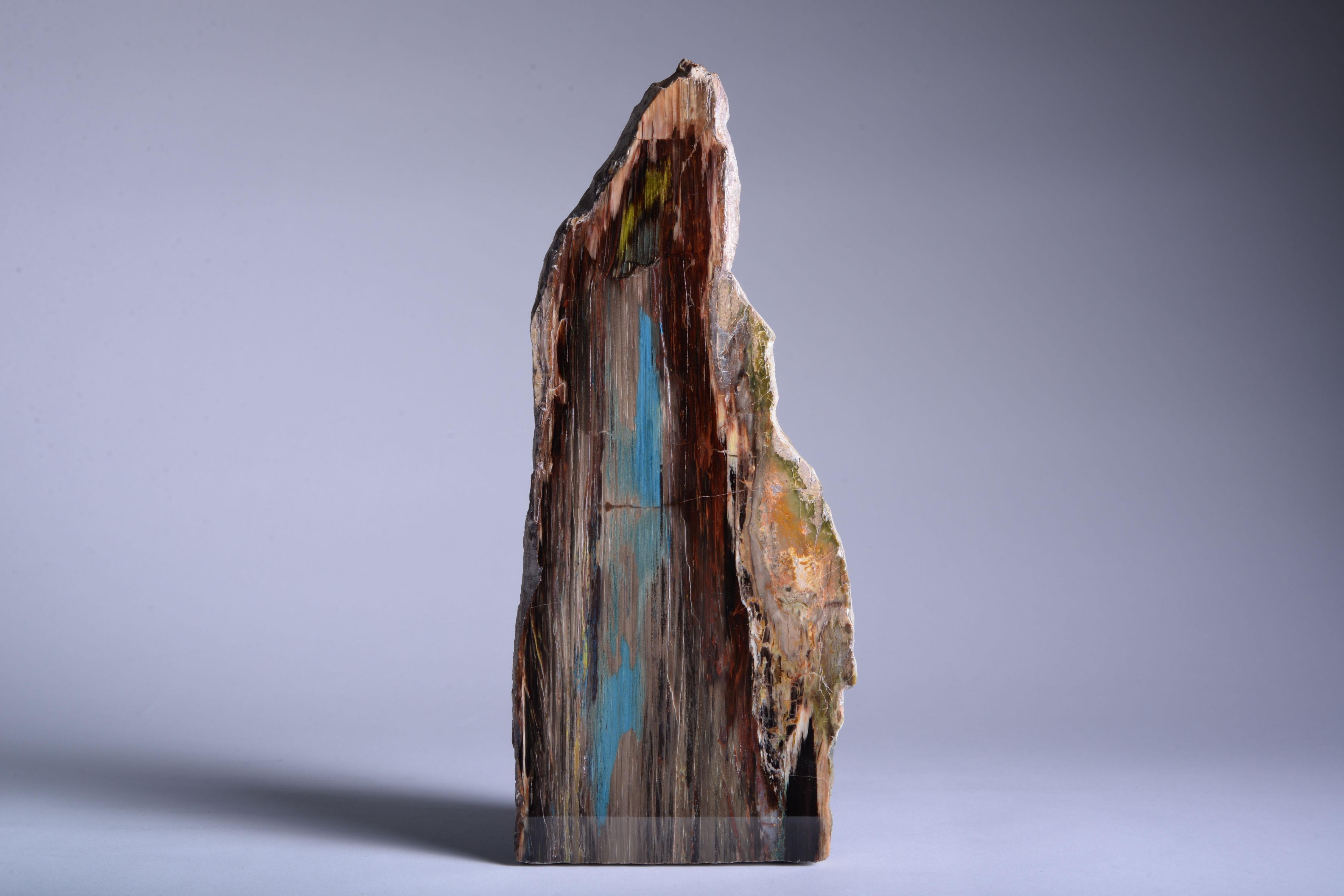 Fossilised Colla Wood Cross-Section
Miocene, circa 23-5 Million years before present
Recovered near the town of Zile, Turkey

Fossilised wood fragment displaying vibrant streaks of browns, reds, blues and yellows. This is a magnificent example of