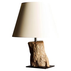 Fossilized Wood Table Lamp, France, 20th C