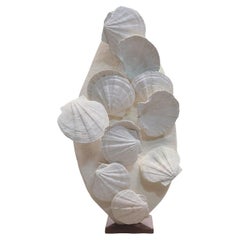 Capesante fossili (Giganto pecten Restitutensis) su supporto di legno personalizzato
