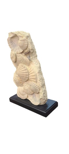 Fossils scallops (giganto pecten) with megalodon tooth on lacquered wooden stand