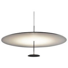 Foster + Partners Anodized Black Lumina Dot 800 Pendant Lamp
