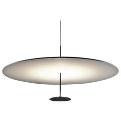 Foster + Partners Anodized Black Lumina Dot 800 Pendant Lamp