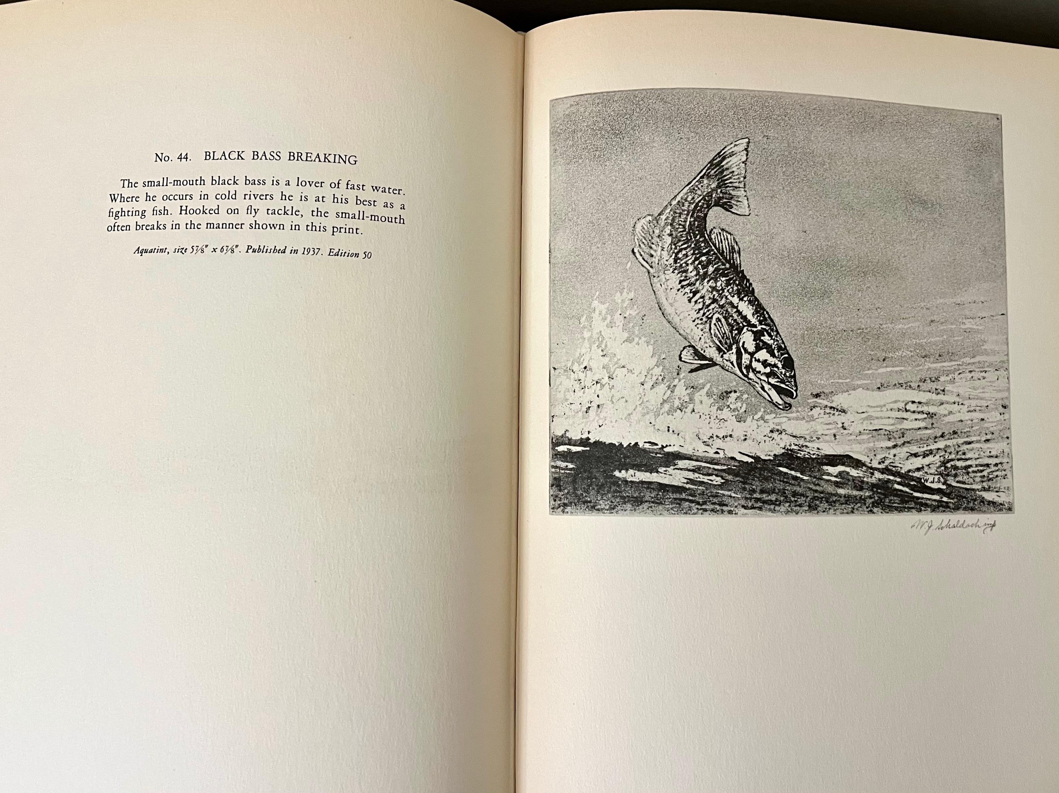 Quatre premières éditions sur la pêche avec des œuvres de Zane Grey, Dean Witter et deux autres en vente 7
