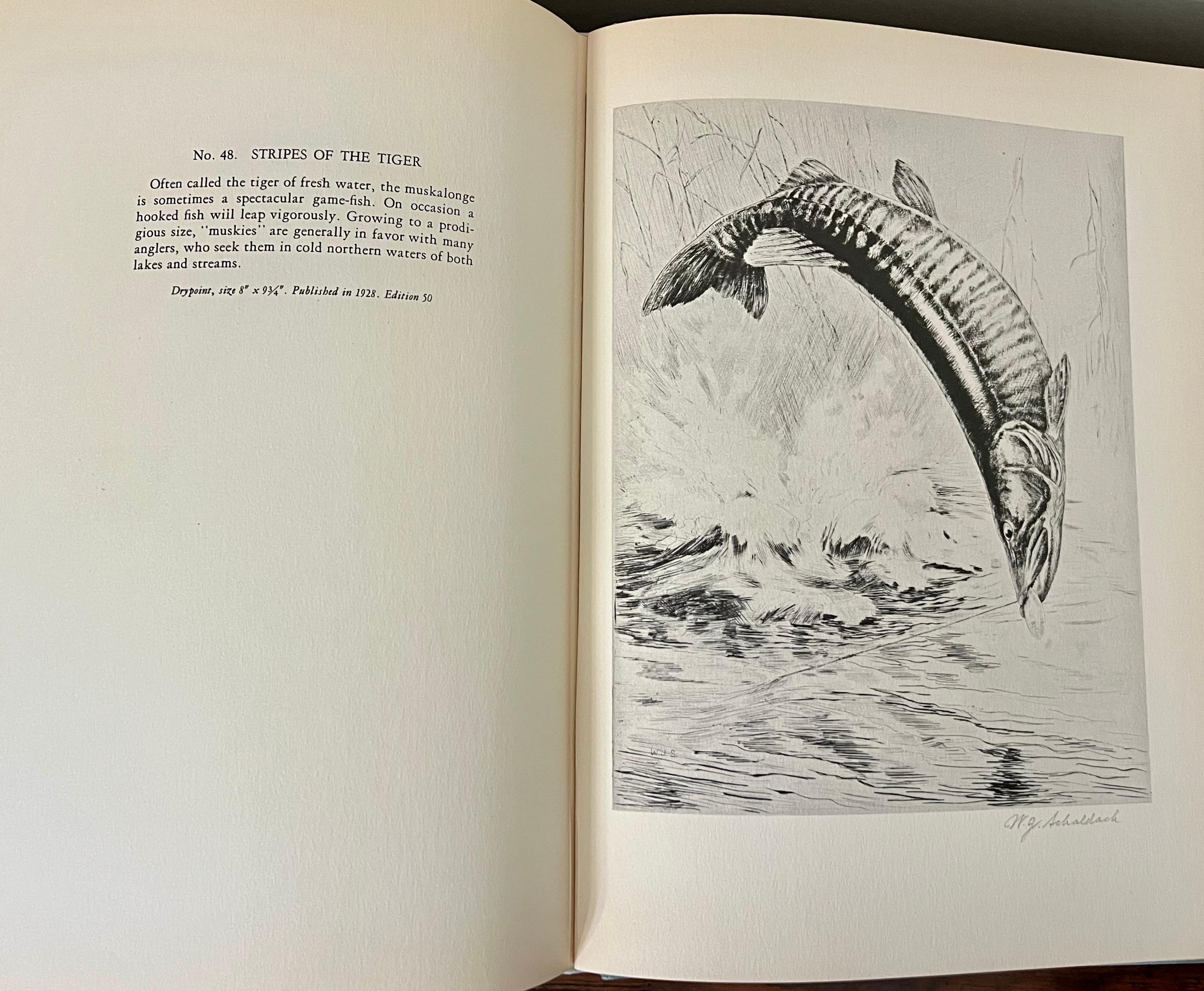 Quatre premières éditions sur la pêche avec des œuvres de Zane Grey, Dean Witter et deux autres en vente 8