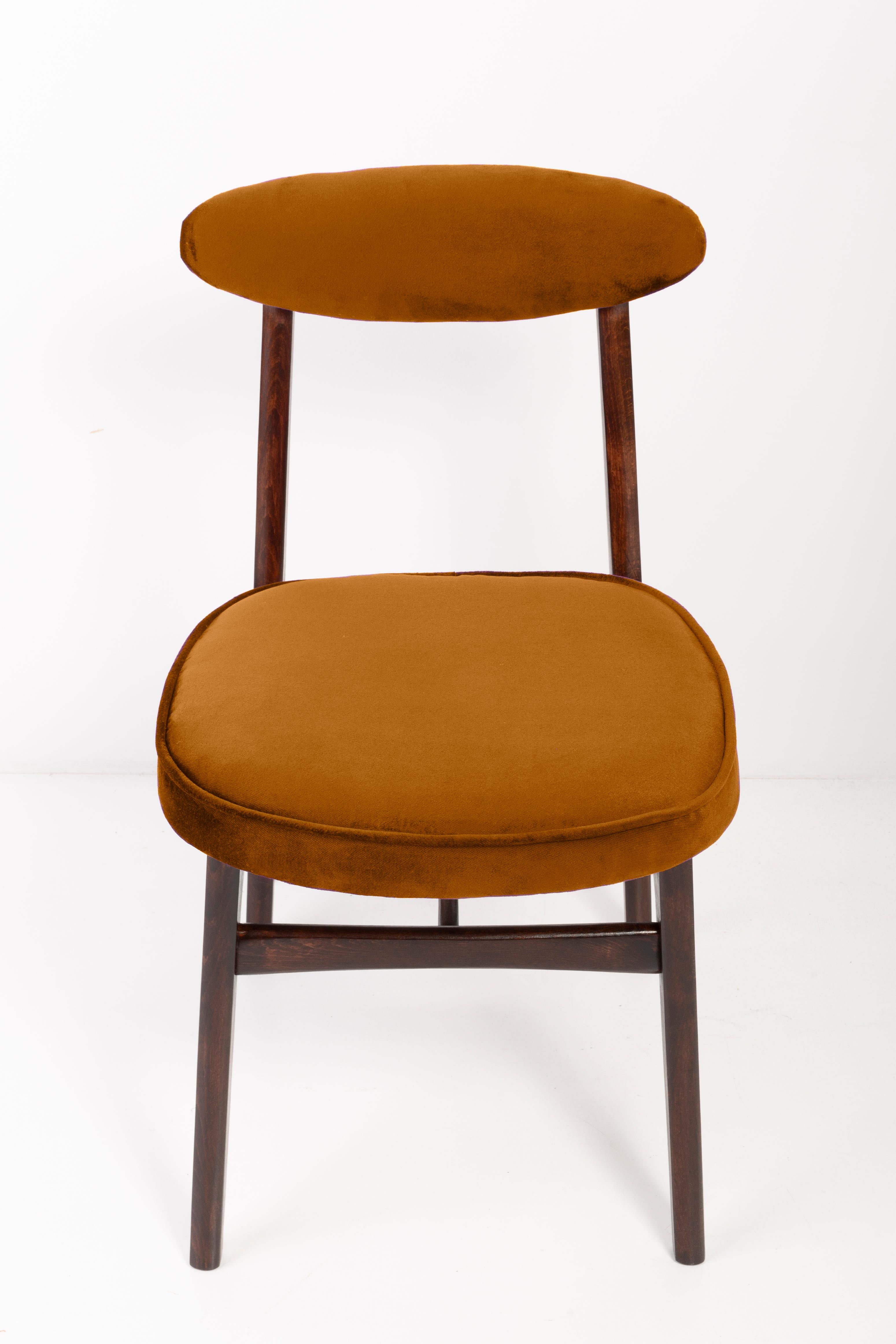 Four 20th Century Copper Velvet Chairs Designed by Rajmund Halas, Europe, 1960s In Excellent Condition For Sale In 05-080 Hornowek, PL