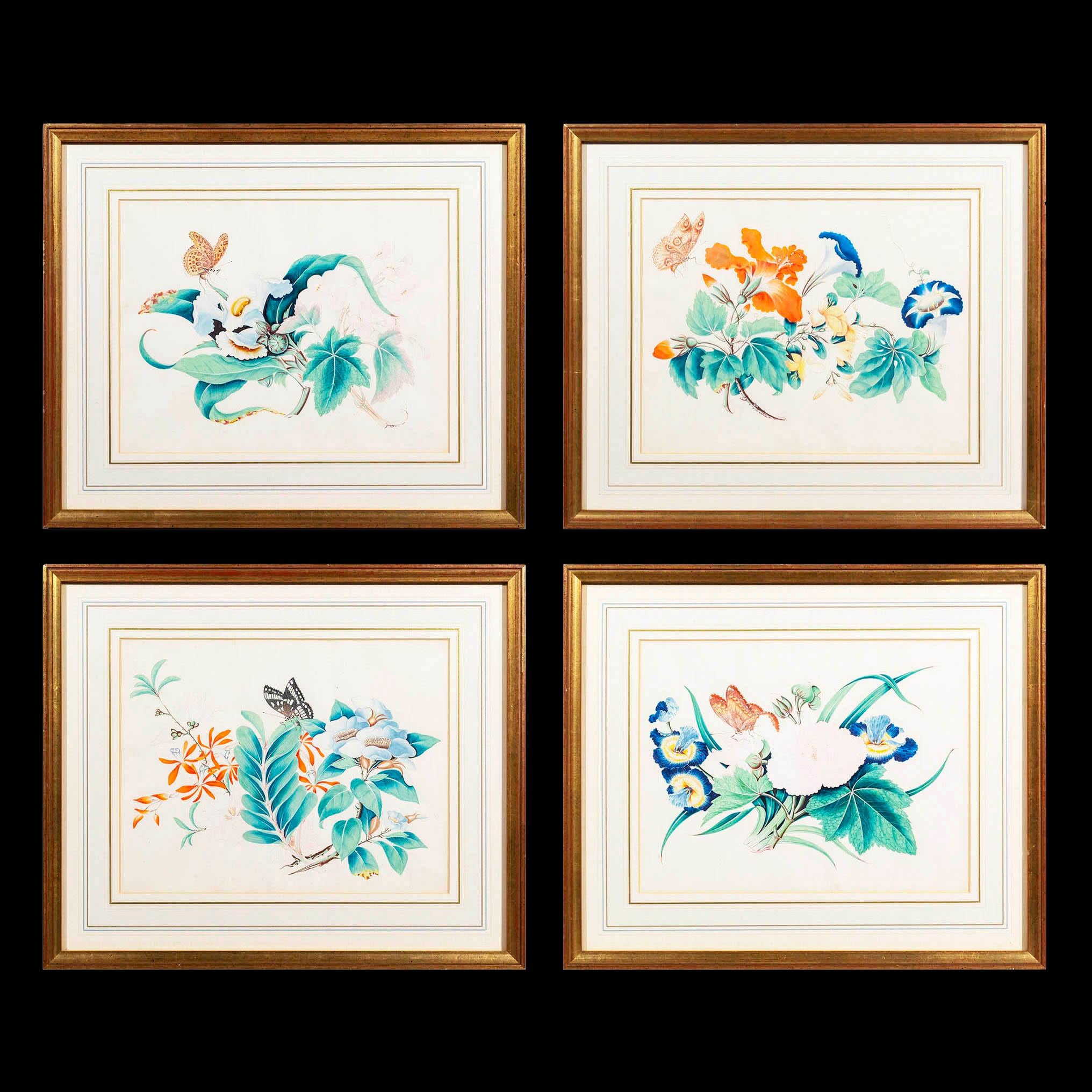 Four Antique Pictures of Flowers and Butterflies For Sale 3