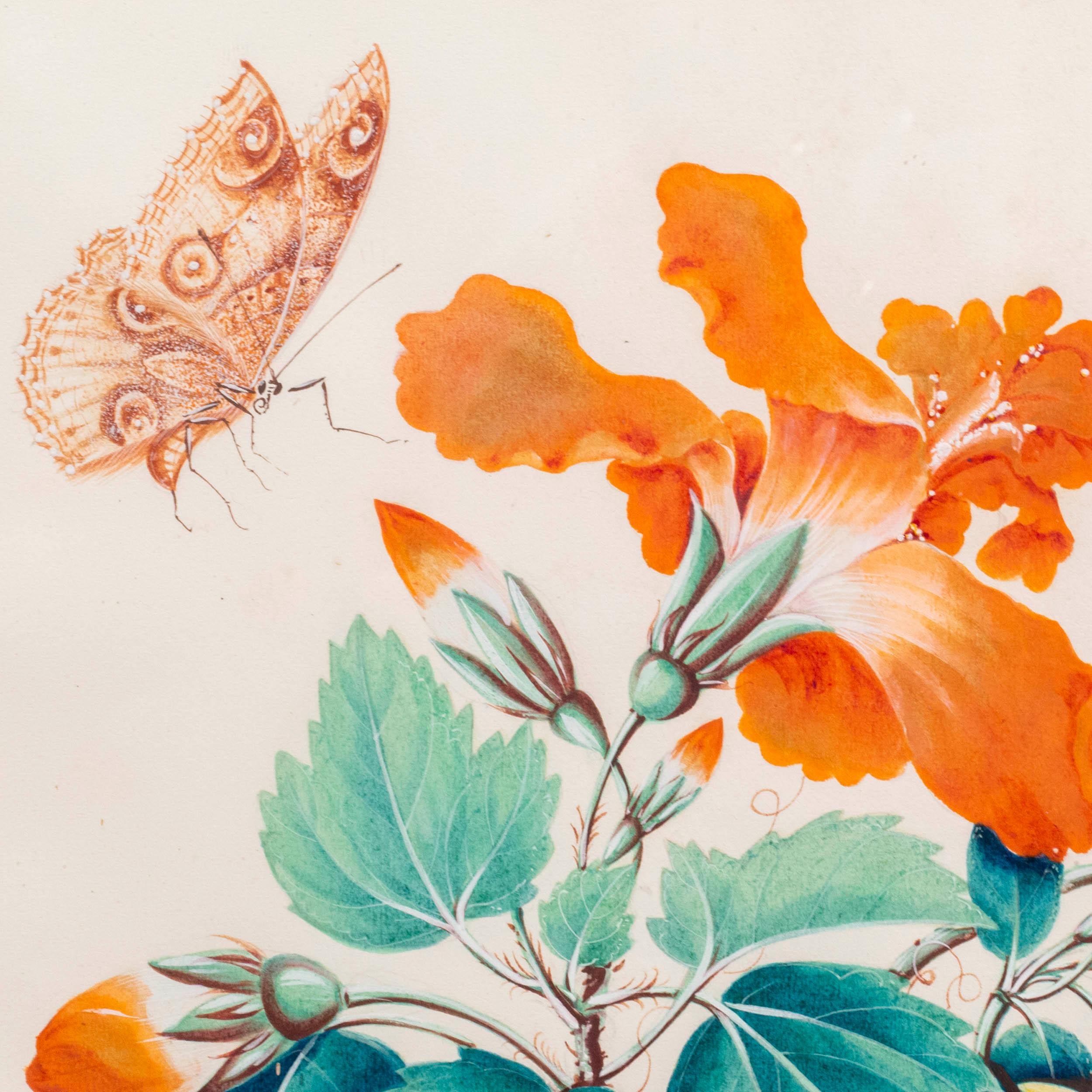 Hand-Painted Four Antique Pictures of Flowers and Butterflies