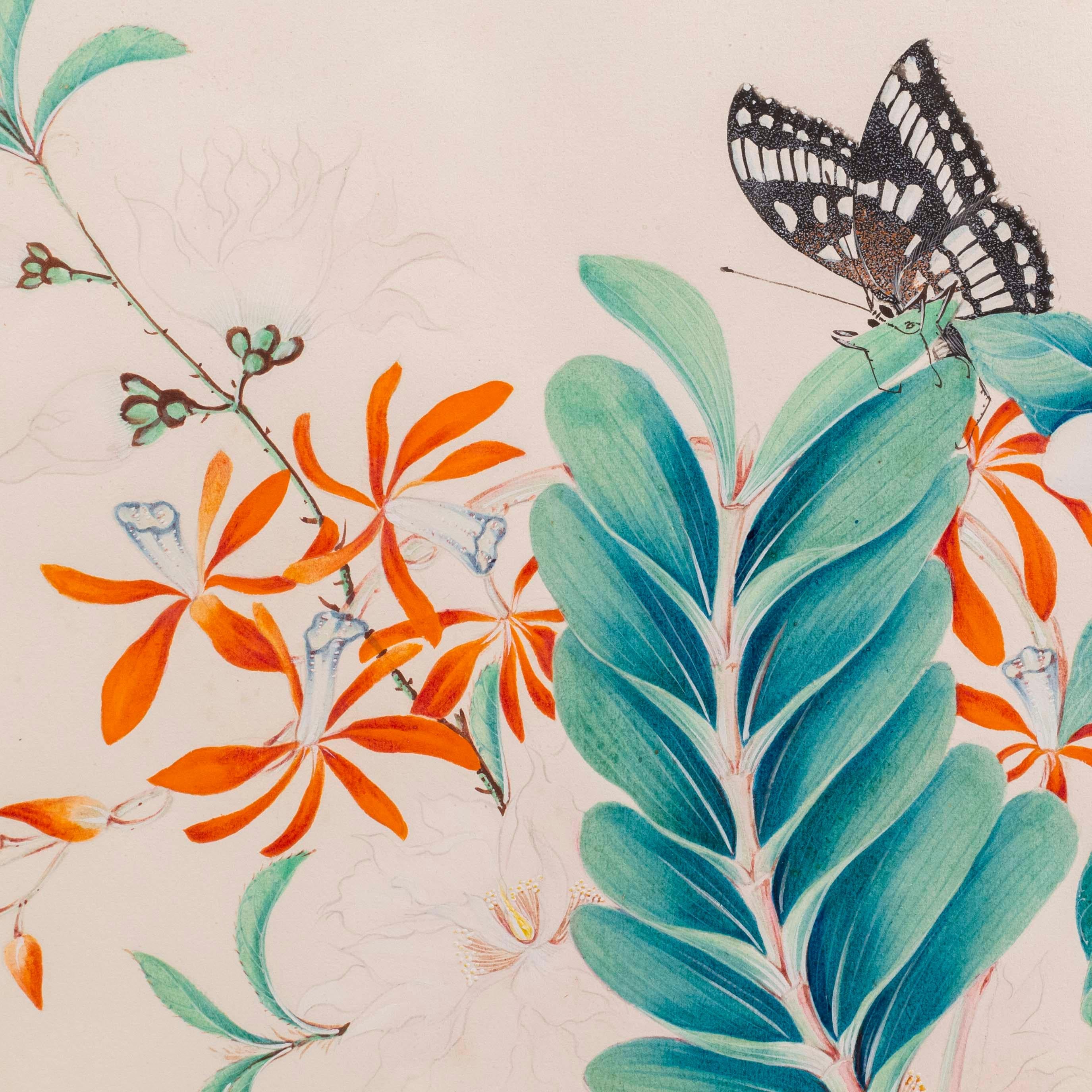 Quatre tableaux anciens de fleurs et de papillons en vente 2