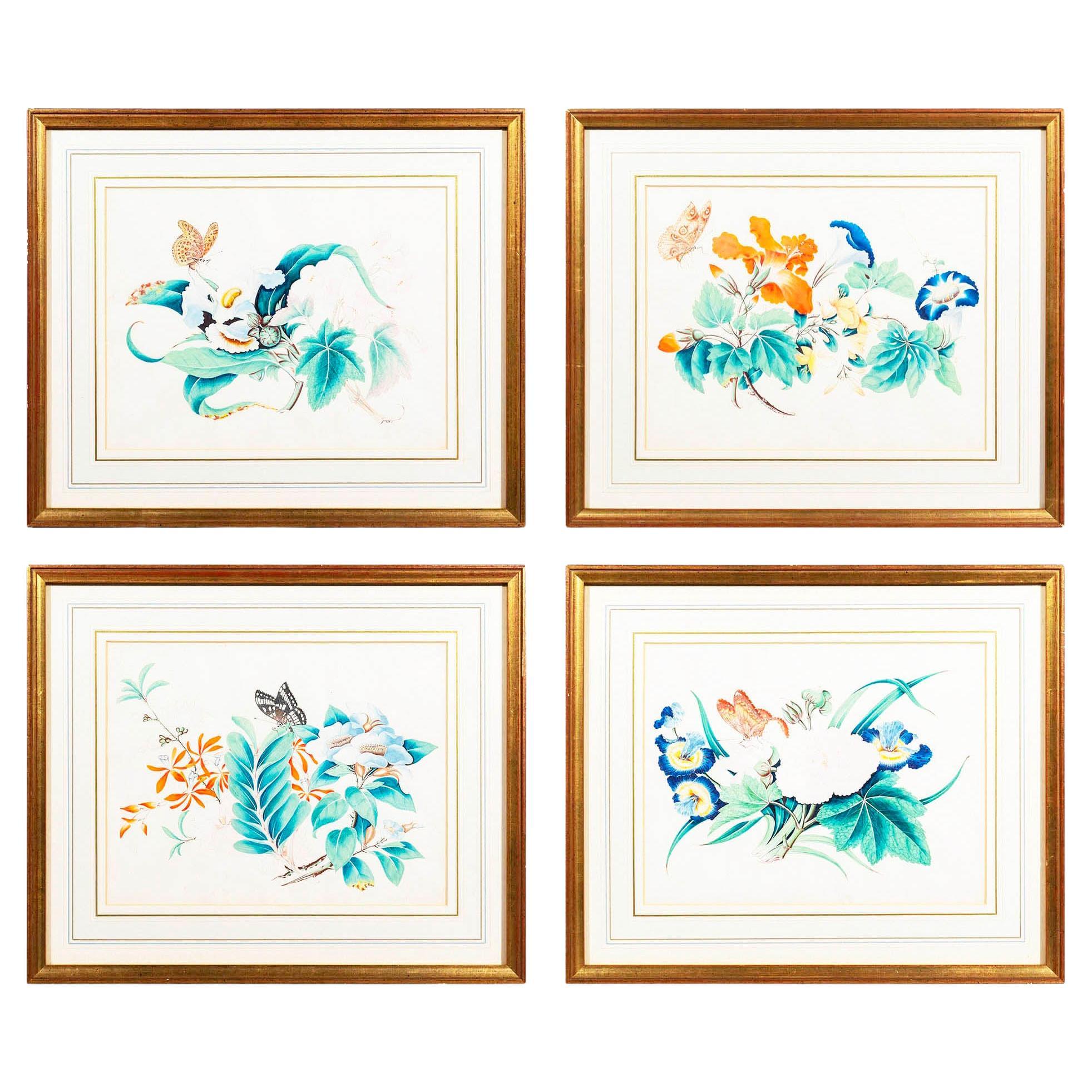 Quatre tableaux anciens de fleurs et de papillons en vente