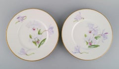 Four Antique Unique Royal Copenhagen Plates in Porcelain with Iris Flowers