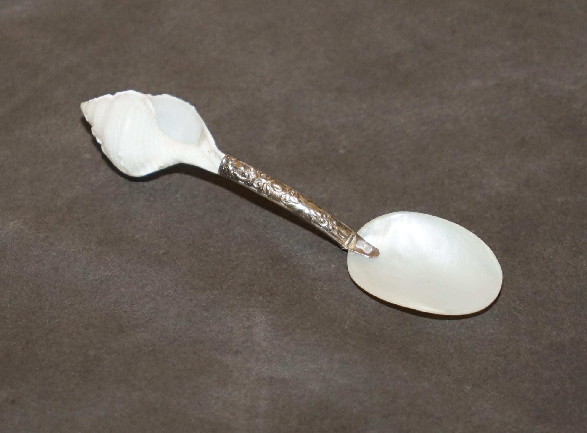 Victorien OUR MOUR ViCtorian MOTHER OF PEARL & STERLING SILVER TESTED SHELL TEA SPOONS en vente