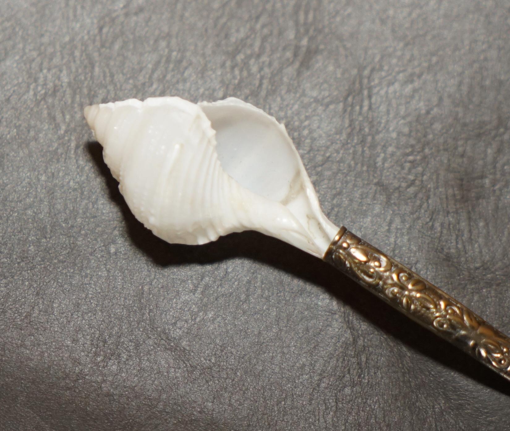 Scottish FOUR ANTIQUE ViCTORIAN MOTHER OF PEARL & STERLING SILVER TESTED SHELL TEA SPOONS For Sale