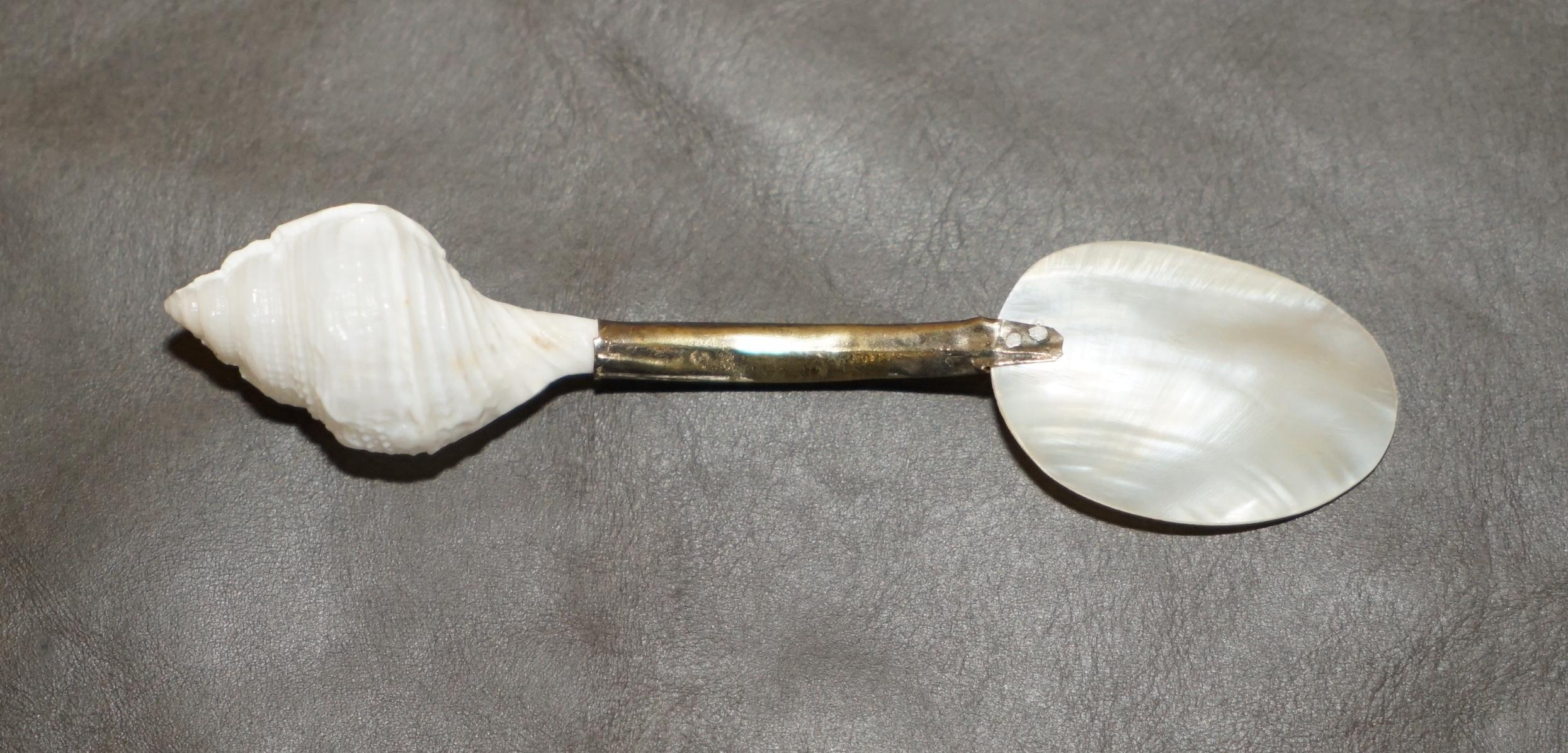 XIXe siècle OUR MOUR ViCtorian MOTHER OF PEARL & STERLING SILVER TESTED SHELL TEA SPOONS en vente