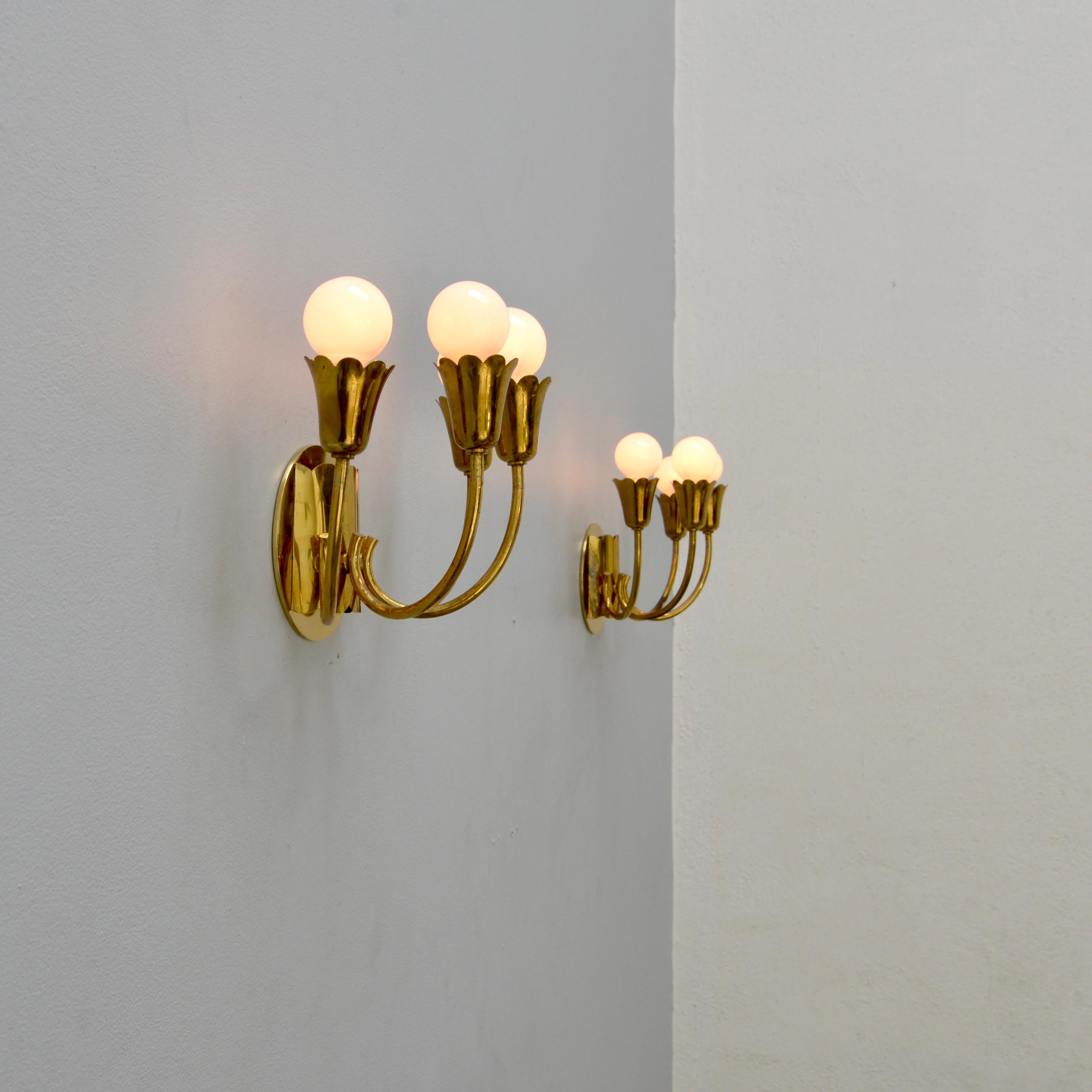 Four Arm Botanical Sconces 2
