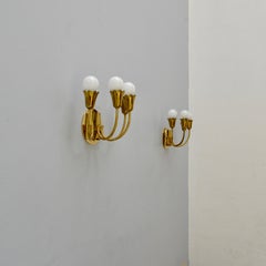 Four Arm Botanical Sconces