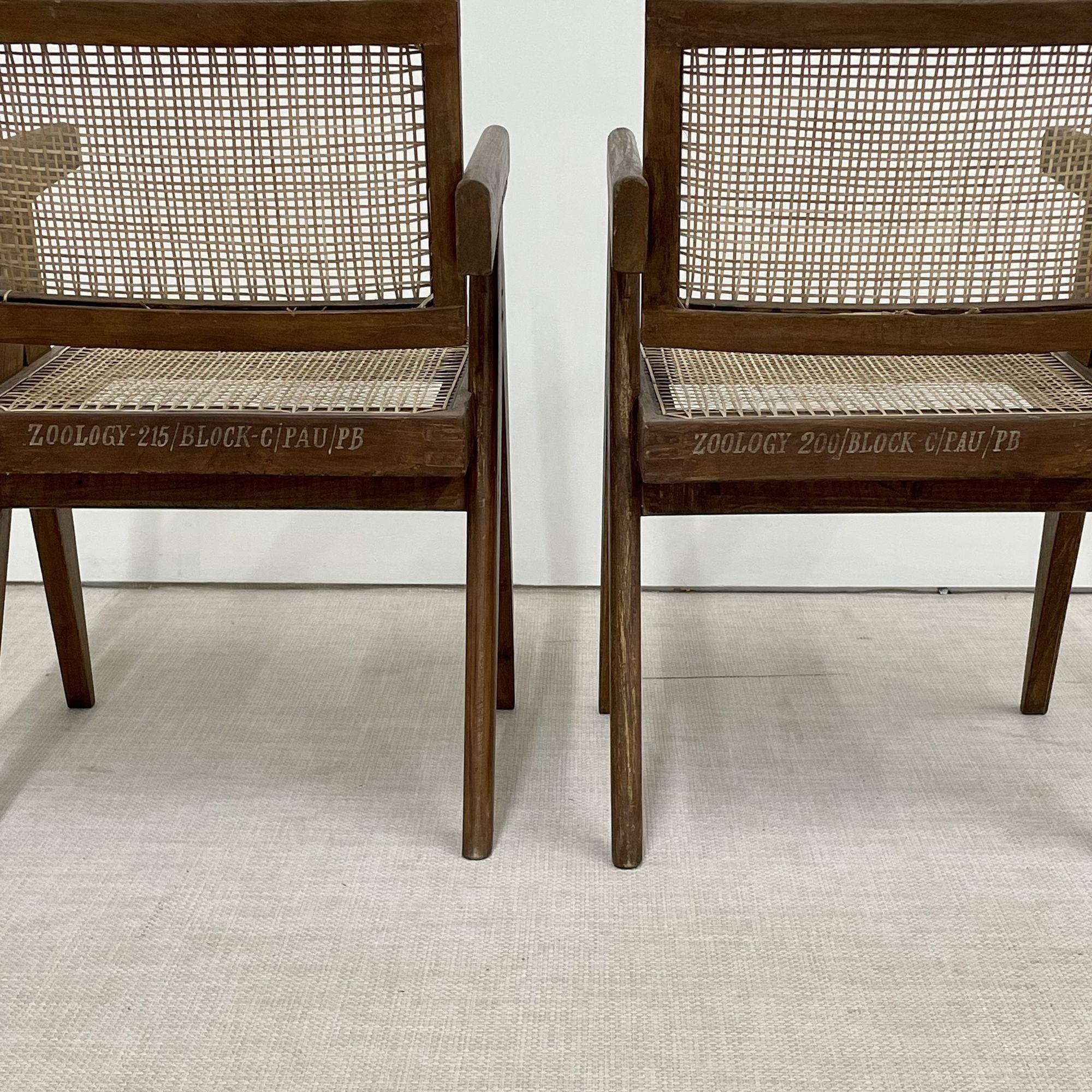 Four Authentic Pierre Jeanneret Floating Back Arm Chairs, Mid-Century Modern 2