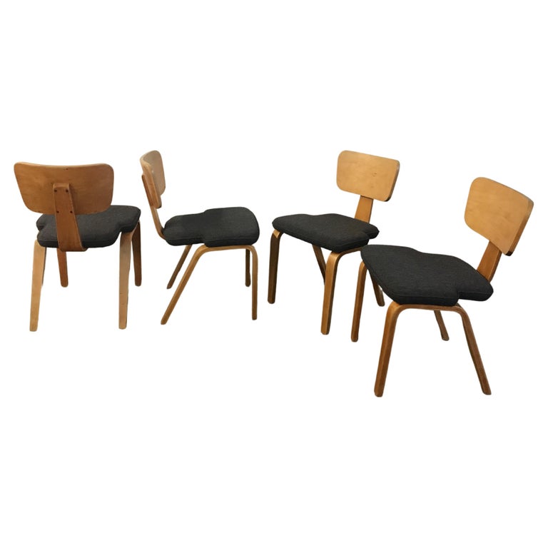 Four Birch Plywood Chairs with Upholstered Seats For Sale at 1stDibs