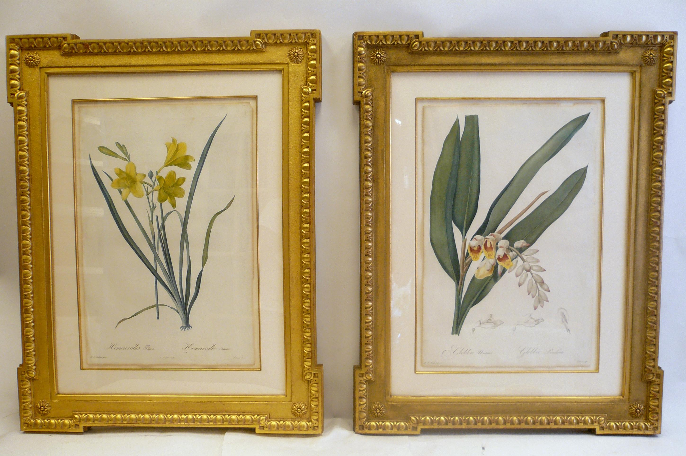Paper Four Botanical Engravings by Pierre Joseph Redoute