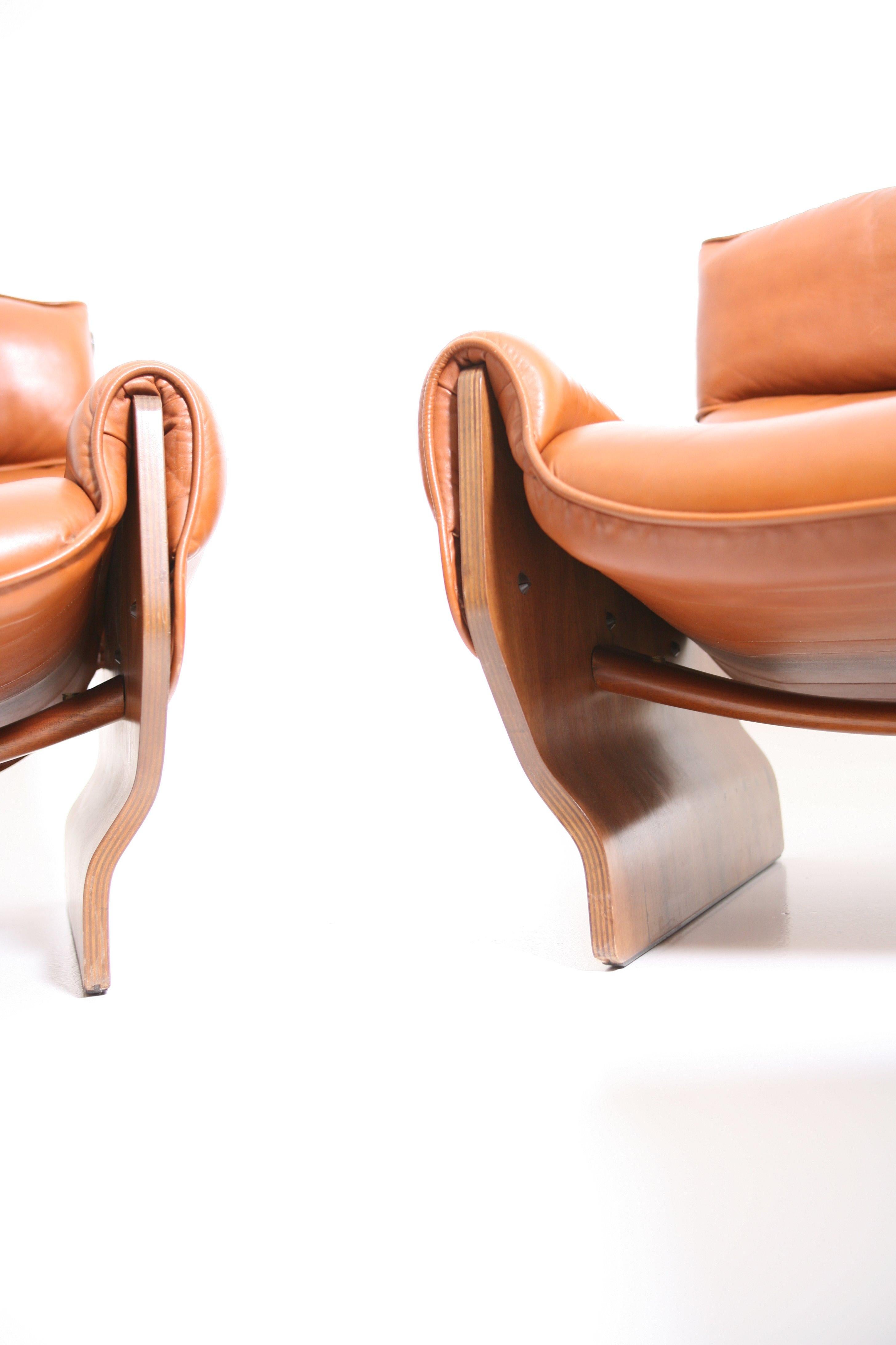 Four Canada Lounge Chairs by Osvaldo Borsani in Rosewood, Tecno, circa