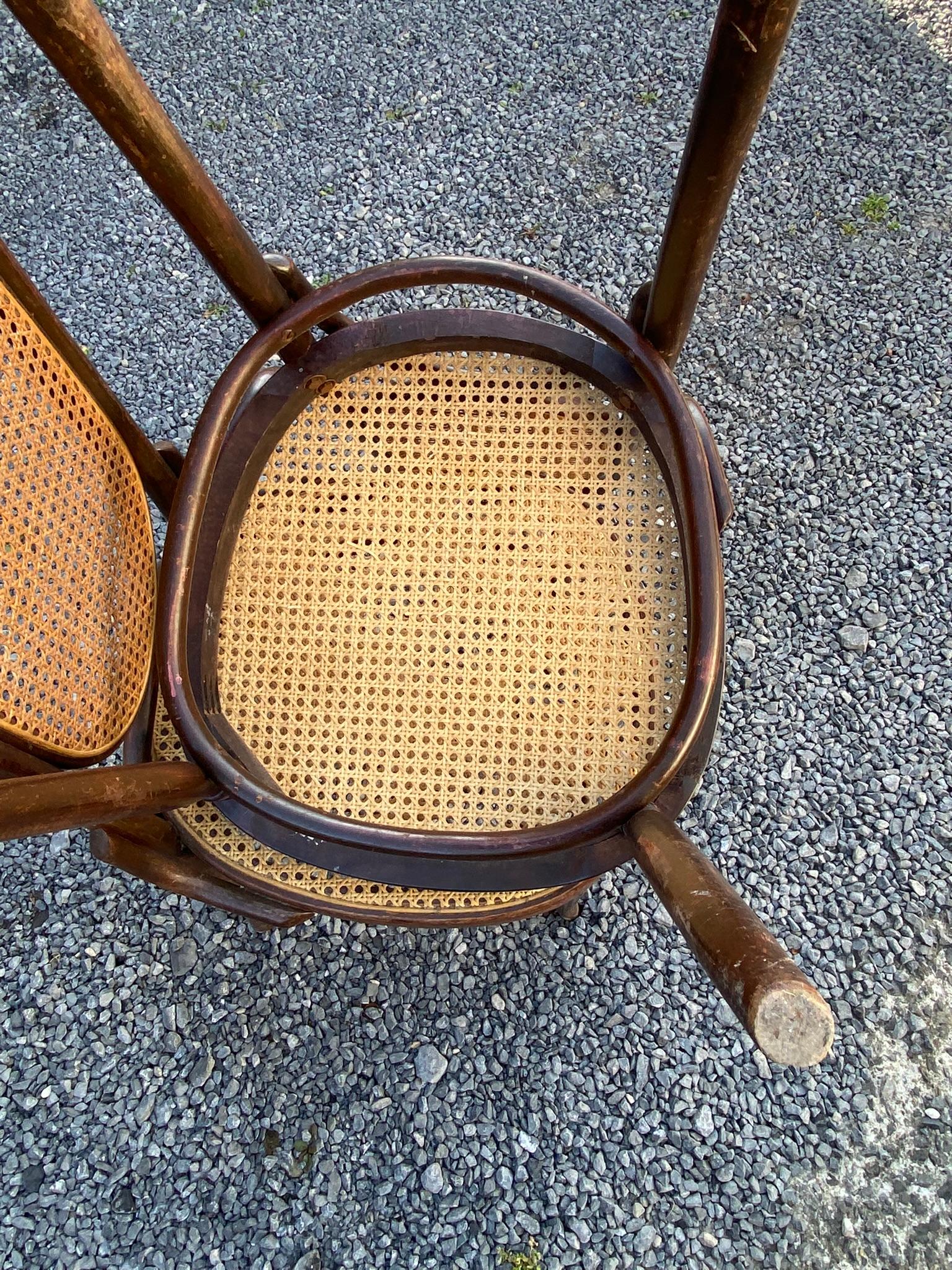 Four Chairs in the Thonet Style, circa 1900 For Sale 2