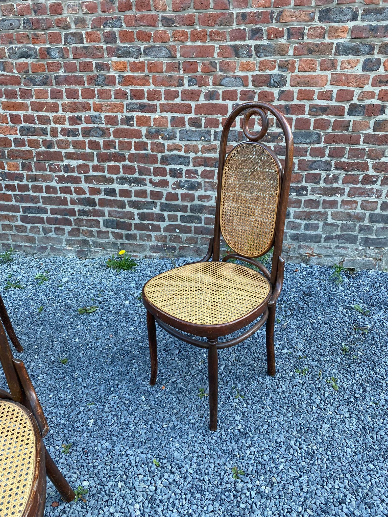 Vier Stühle im Thonet-Stil, um 1900 (Art nouveau) im Angebot