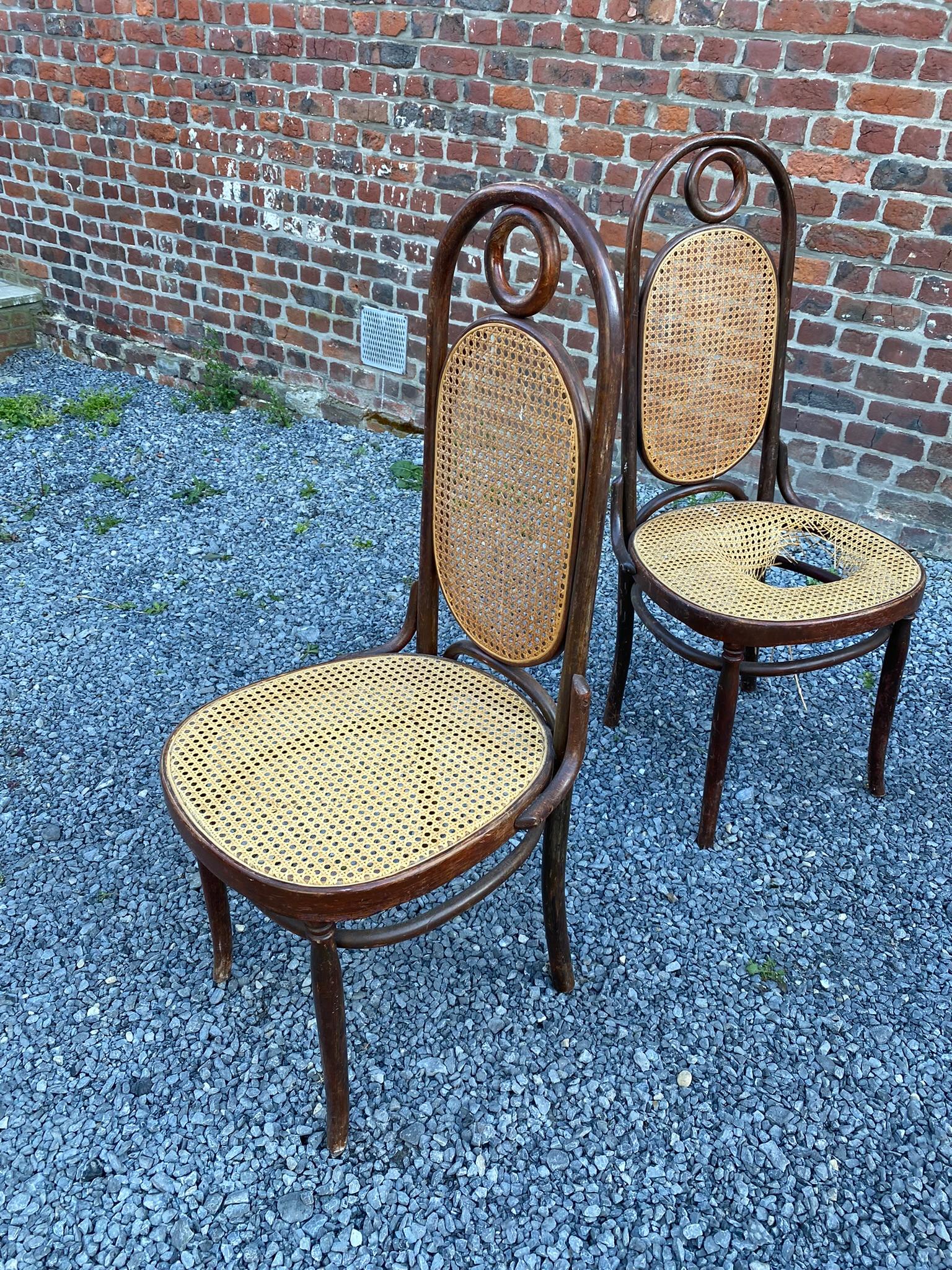 French Four Chairs in the Thonet Style, circa 1900 For Sale