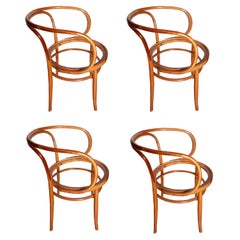  After Thonet  209 Four Chairs or Archairs  Natural Bentwood, Midcentury 