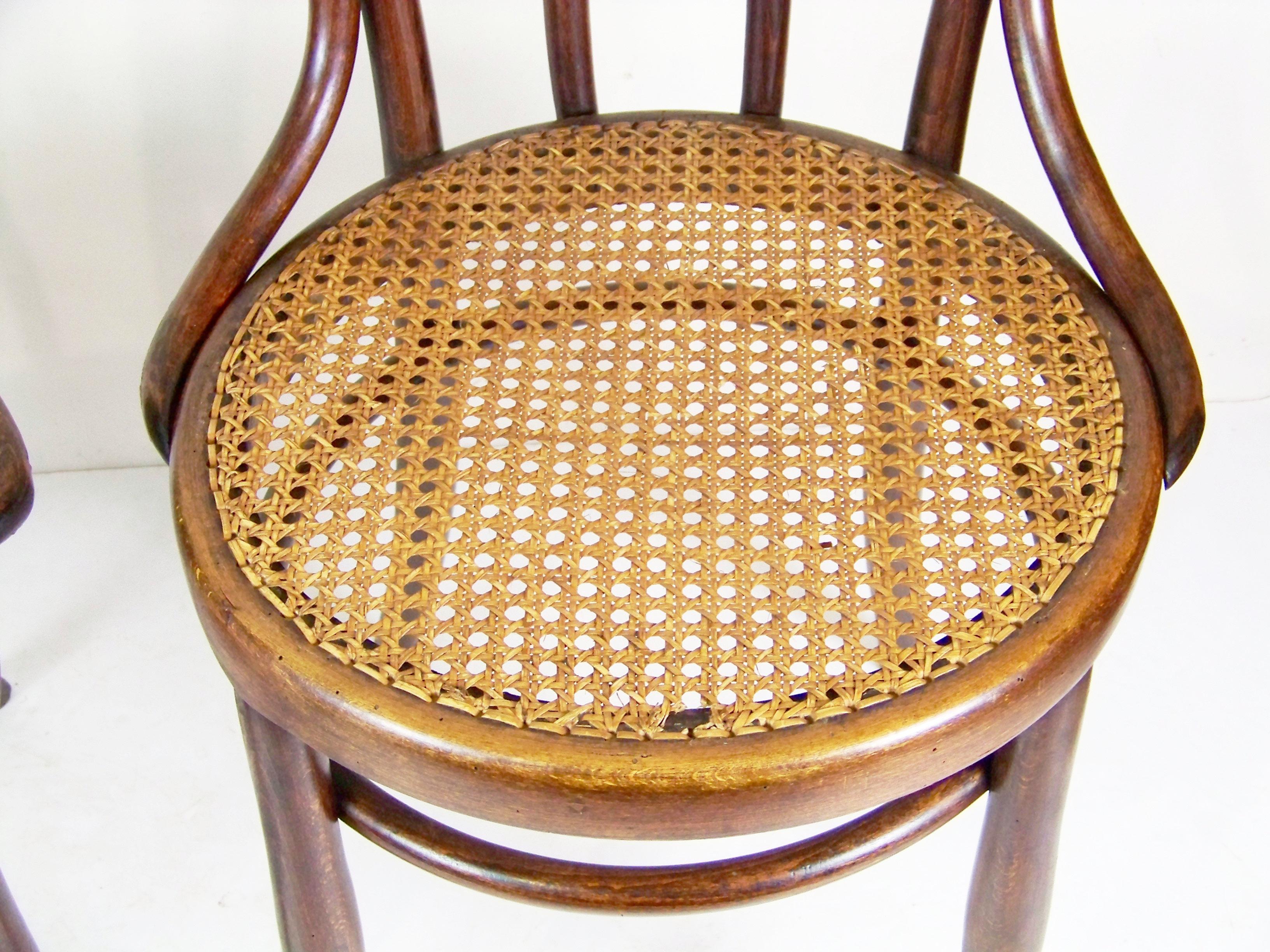 Four Chairs Thonet Nr.19, circa 1900 For Sale 3