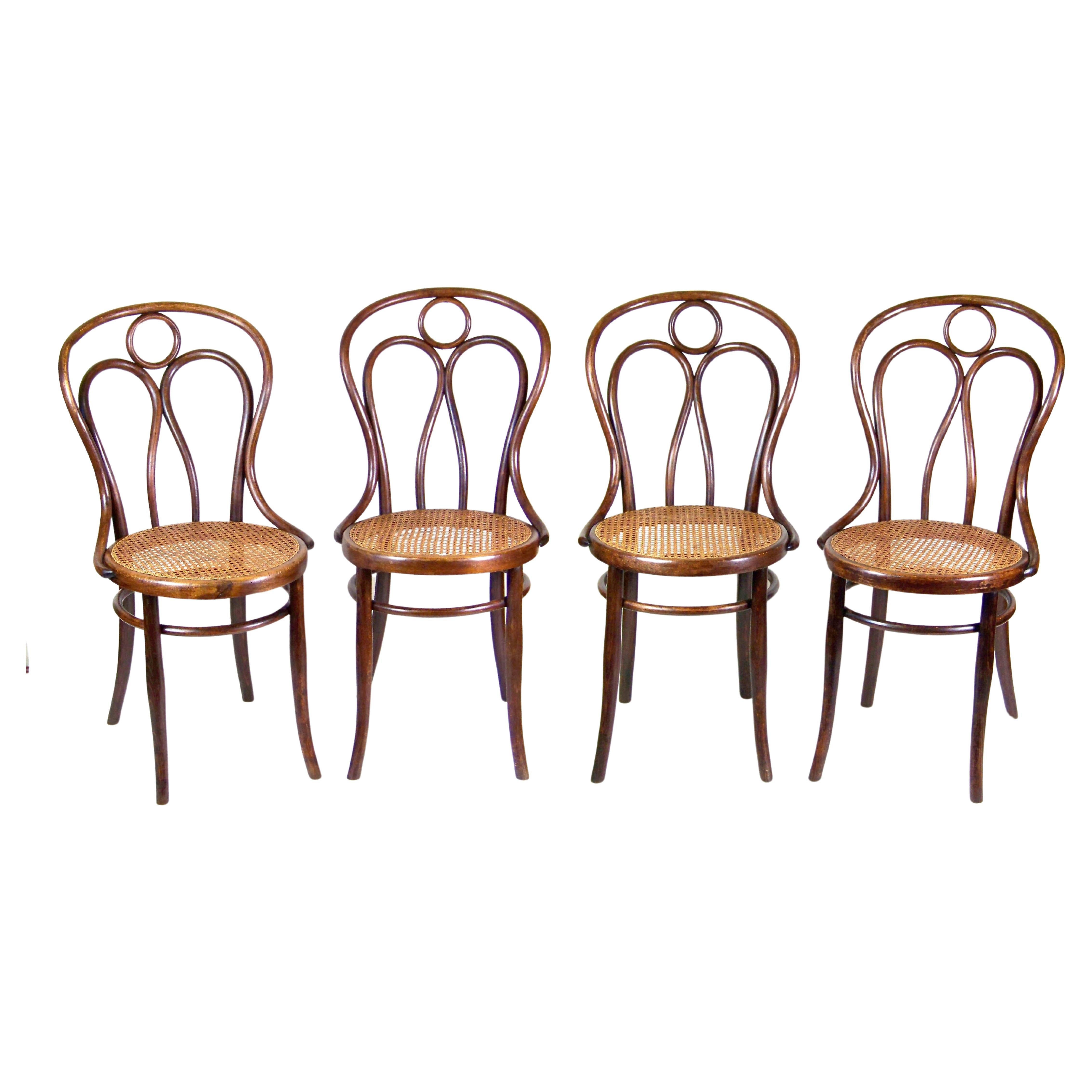 Four Chairs Thonet Nr.19, circa 1900 For Sale