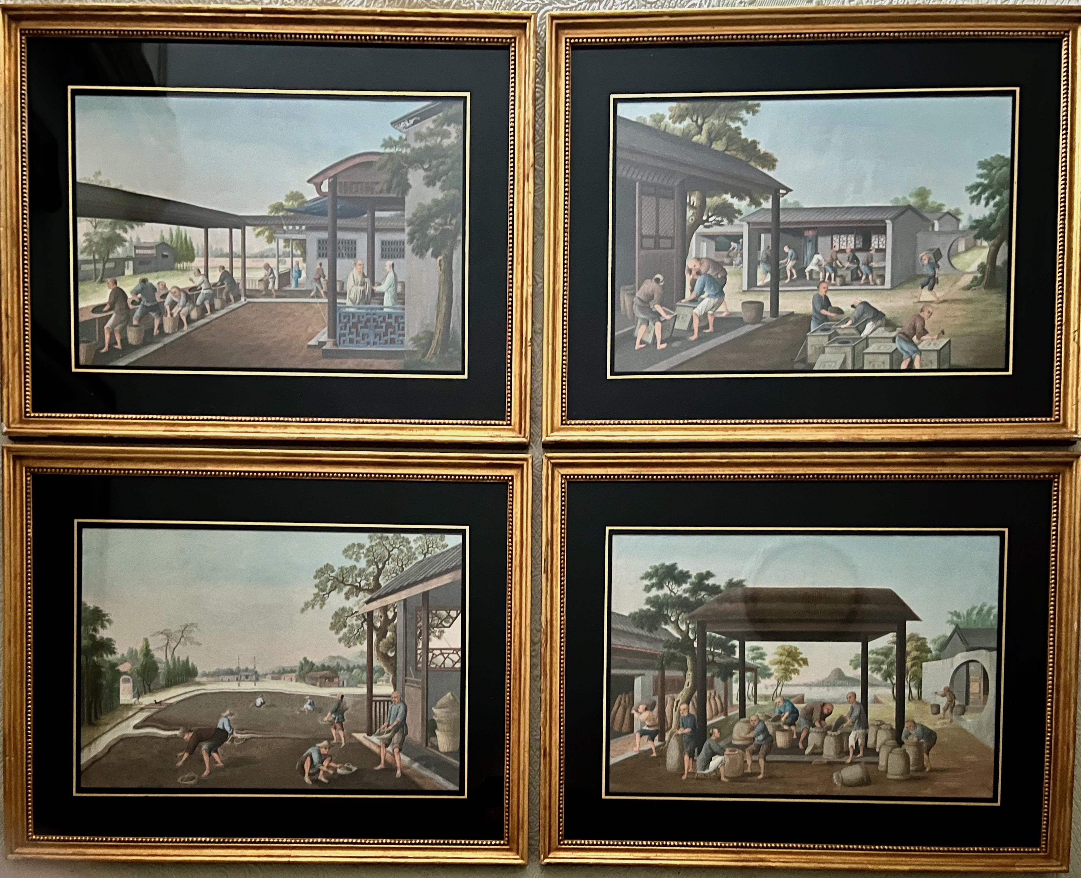 Eine Reihe von vier schönen und eleganten chinesischen Export Gouache Aquarelle, C. 1790 - 1820 in schönen vergoldeten Rahmen mit Perlen Dekoration und herrlichen breiten schwarzen Mattierung und Goldrand angezeigt.
Ungeschrieben, möglicherweise