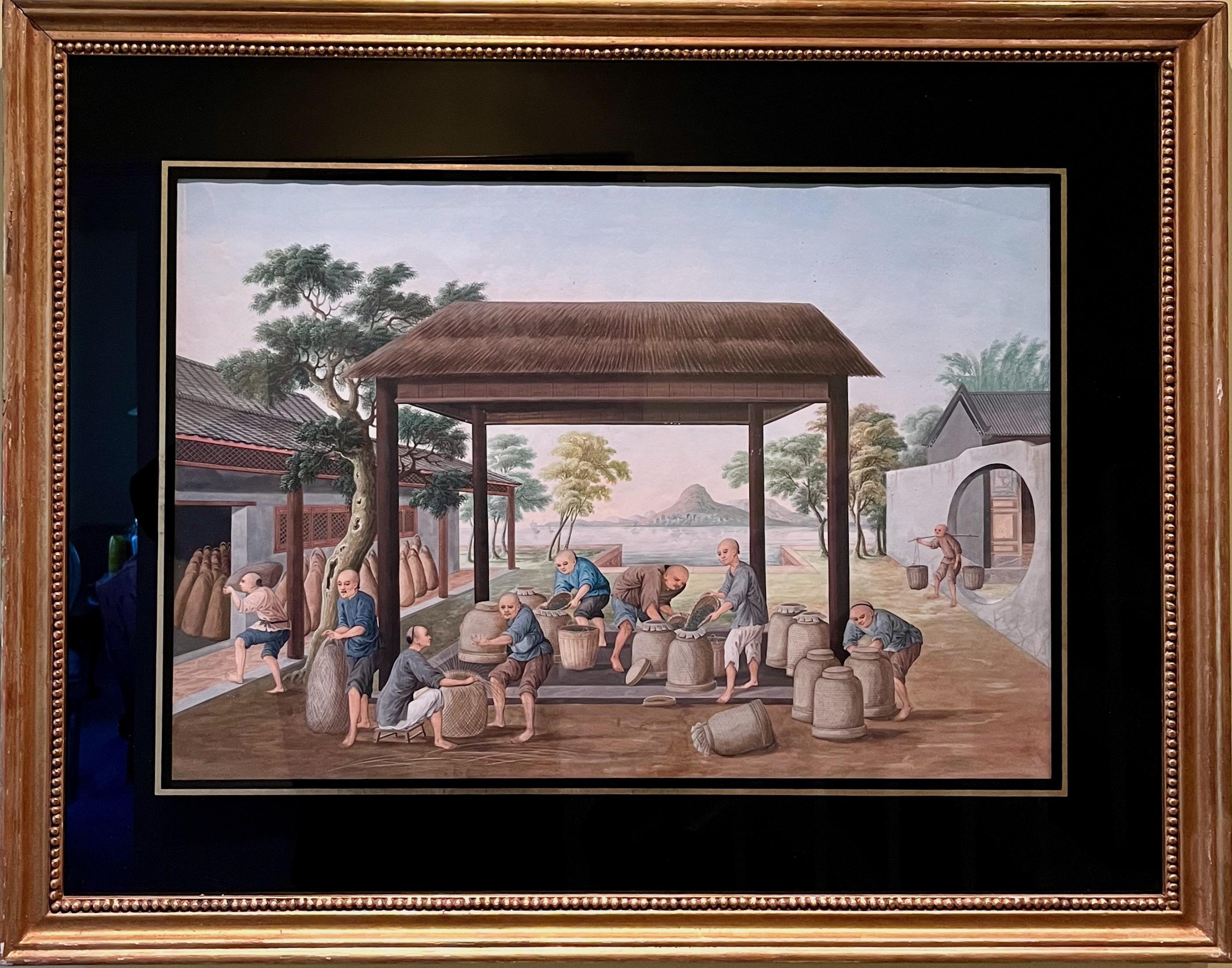 Vier chinesische Export- Gouache-Aquarelle der Teeproduktion in verschiedenen Phasen im Zustand „Gut“ in Nashua, NH