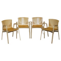 CUATRO SILLONES DE COMEDOR CIRENE 03 DISEñADOS POR VICO MAGISTRETTI PARA DE PADOVA