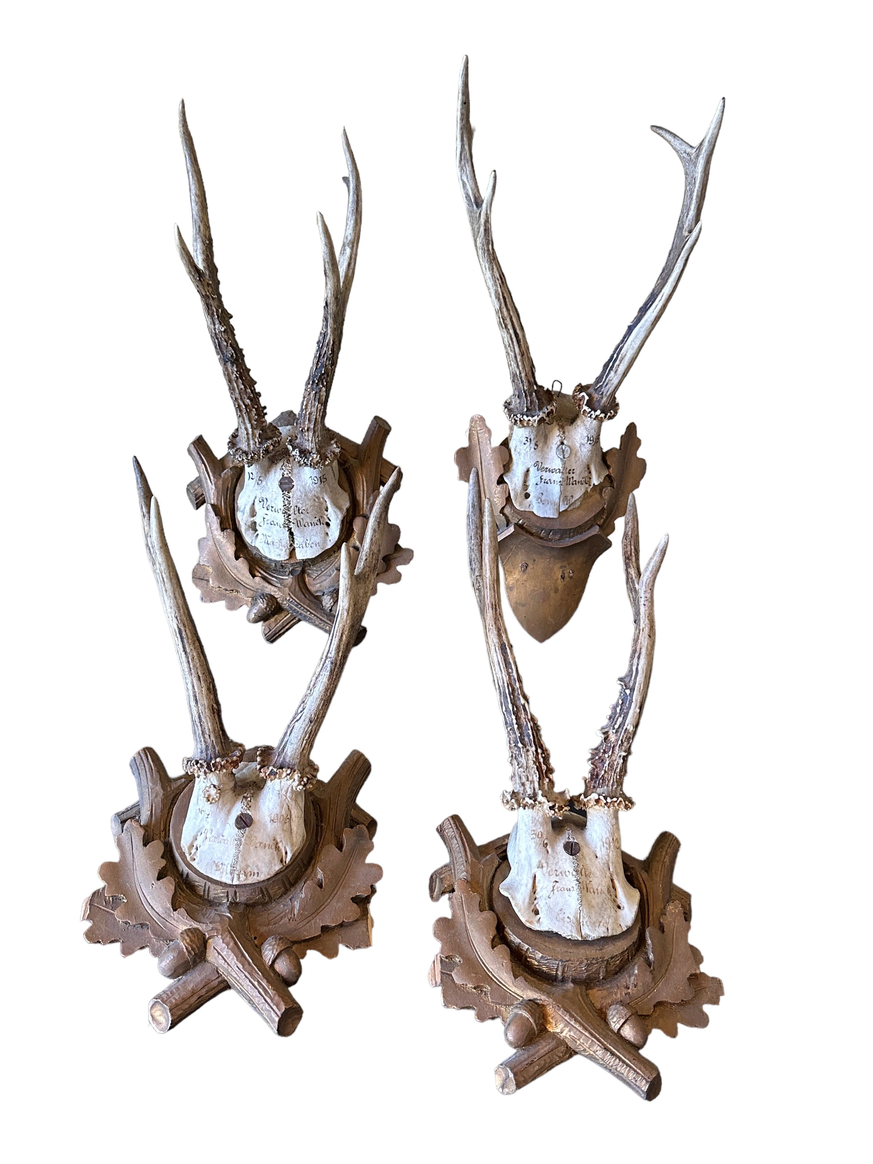 A set of four vintage Black Forest deer antler trophies on hand carved, Black Forest wooden plaques. All dated between 1906 - 1915. Measurement's given in dimensions section refers to the tallest item. A nice addition to your hunters loge, cabin,