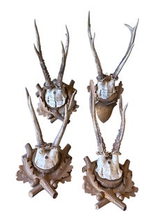 Four Deer Antler Mount Trophy Black Forest Carved Wood Plaque German Folk Art