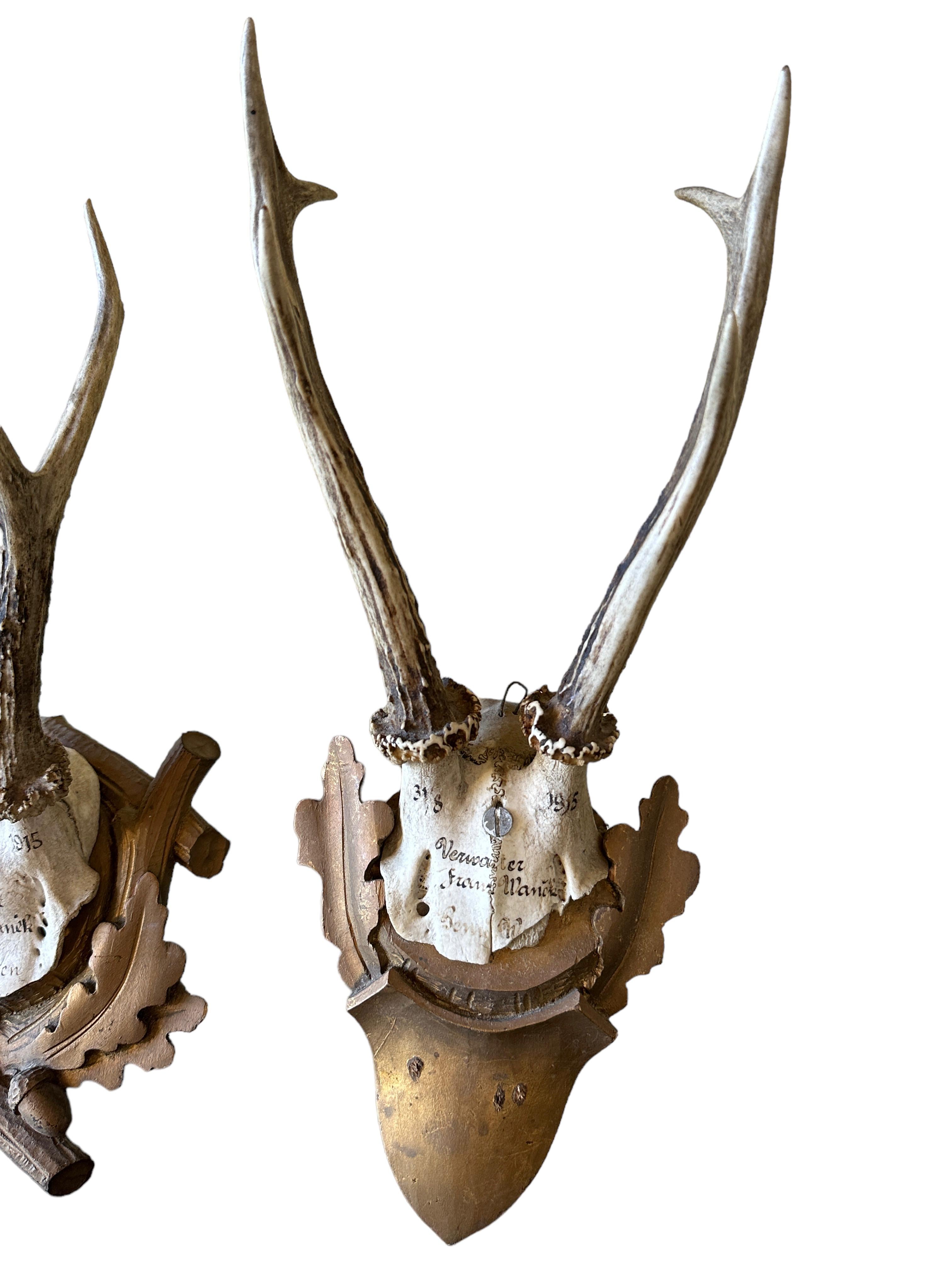 Hand-Carved Four Deer Antler Mount Trophy Black Forest Carved Wood Plaque German Folk Art  For Sale