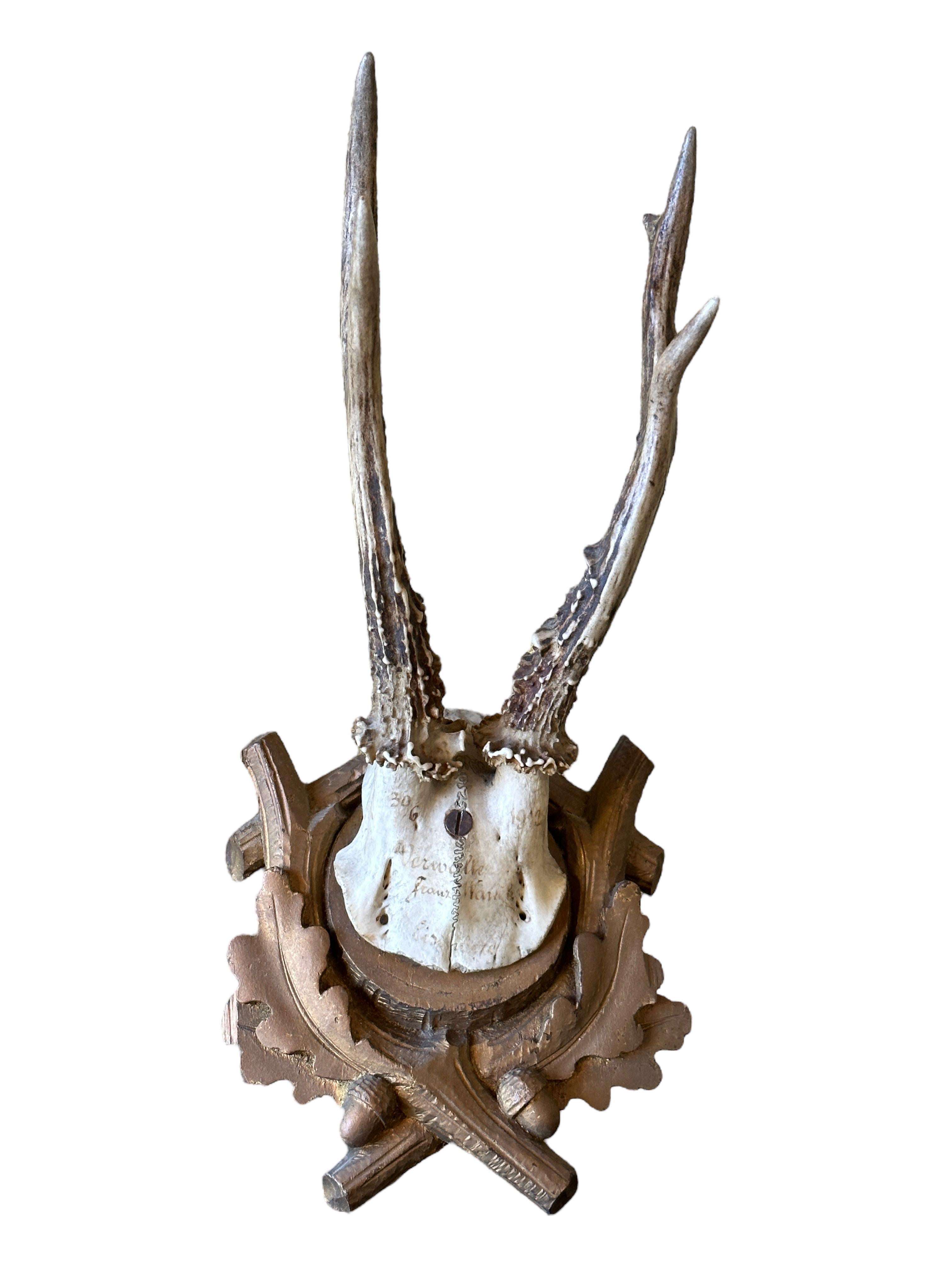 Four Deer Antler Mount Trophy Black Forest Carved Wood Plaque German Folk Art  For Sale 3